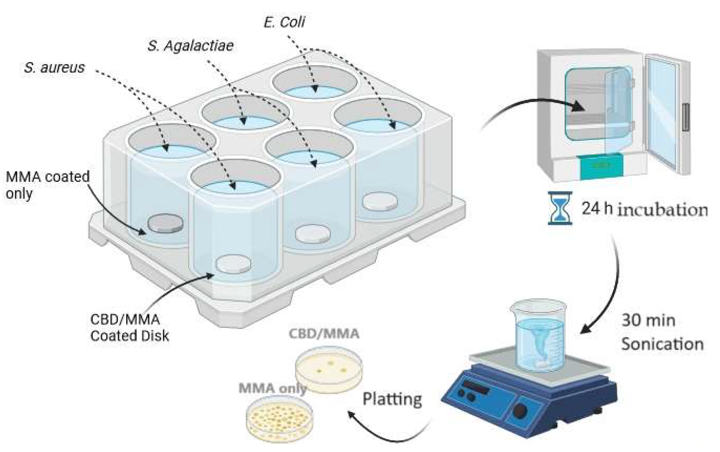 Preprints 143298 g010