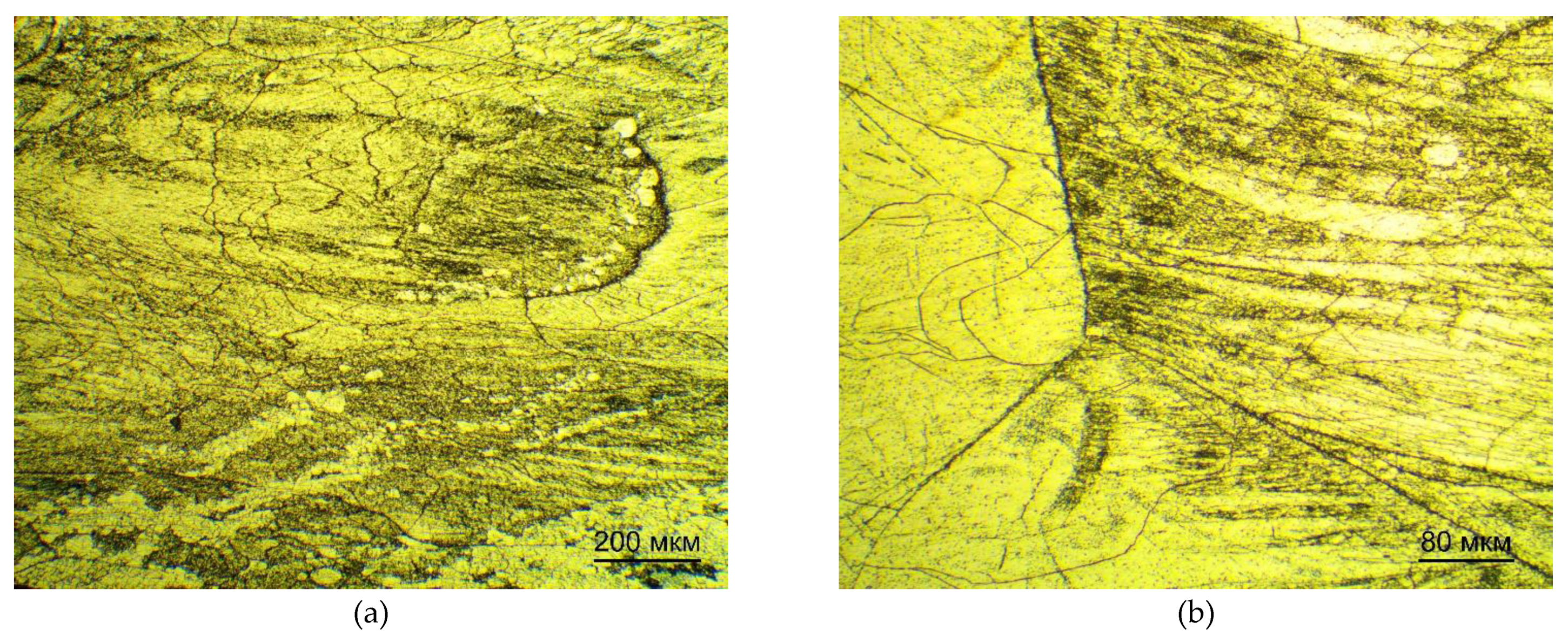 Preprints 150181 g004