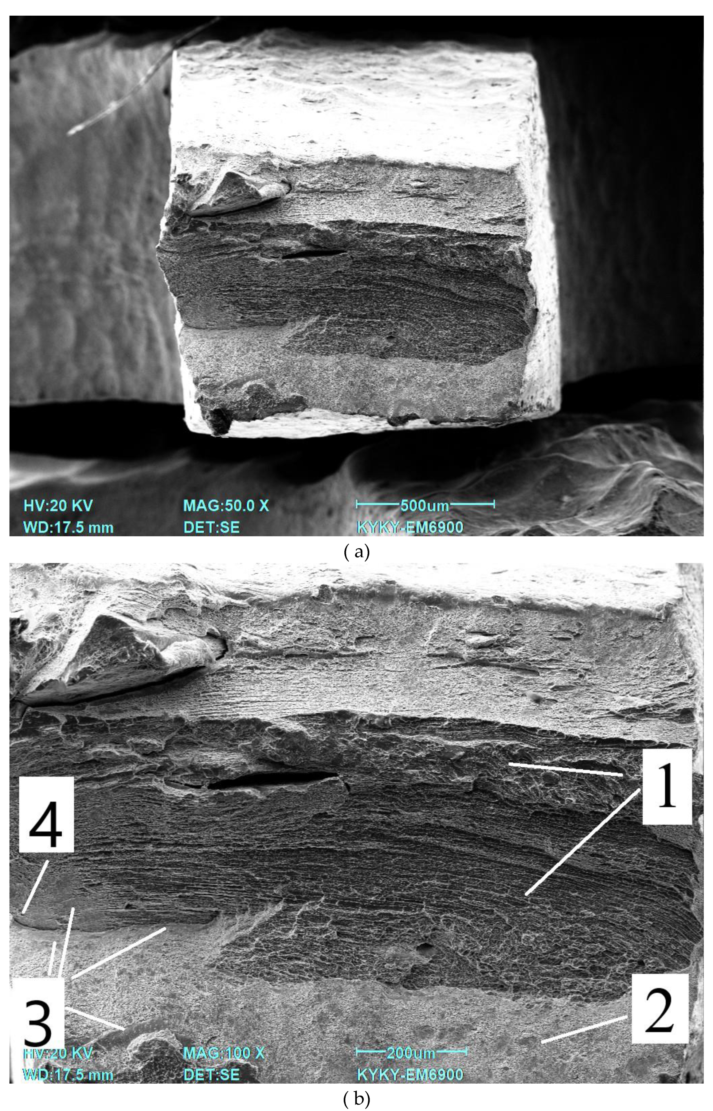Preprints 150181 g009a
