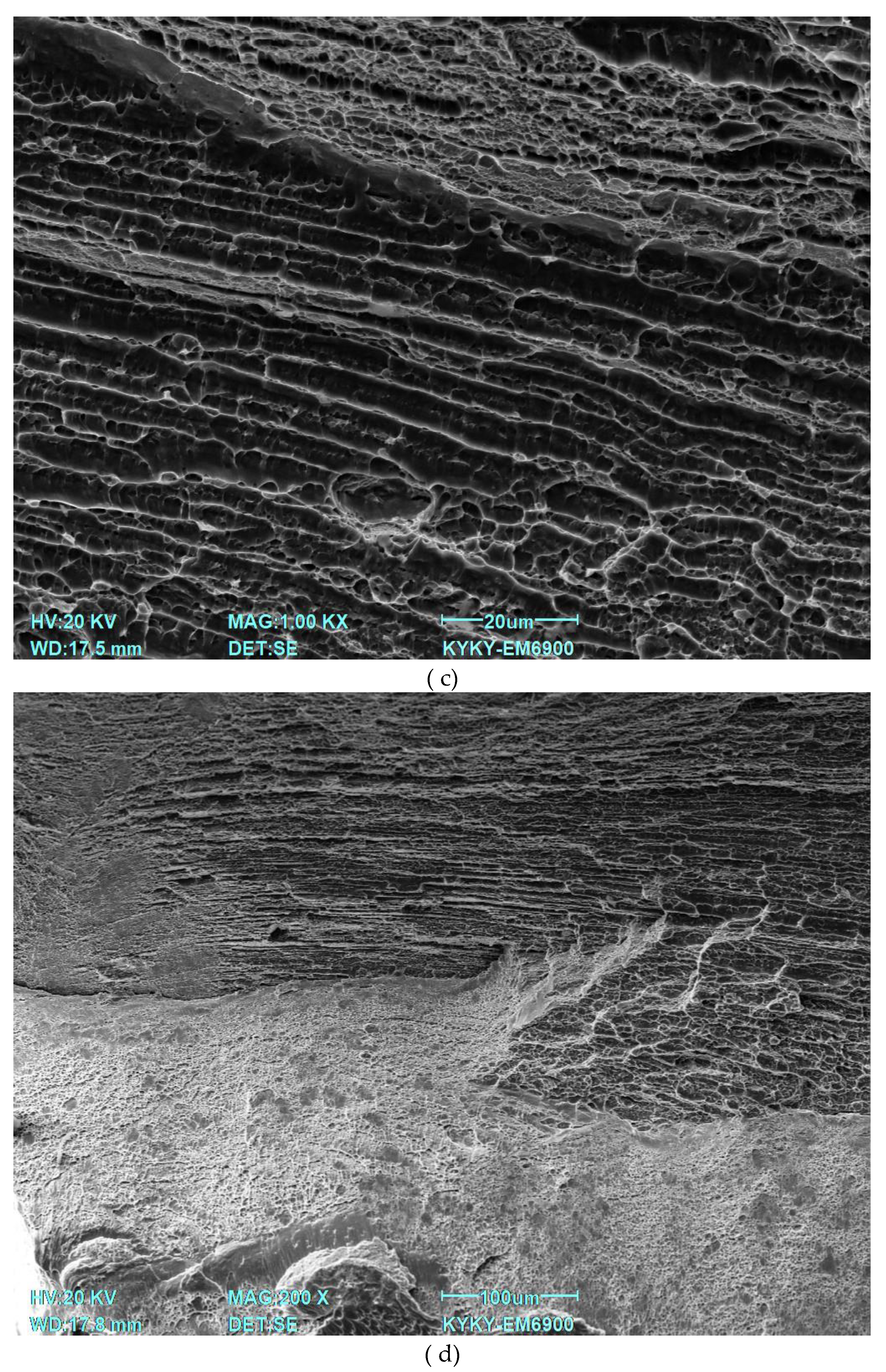 Preprints 150181 g009b