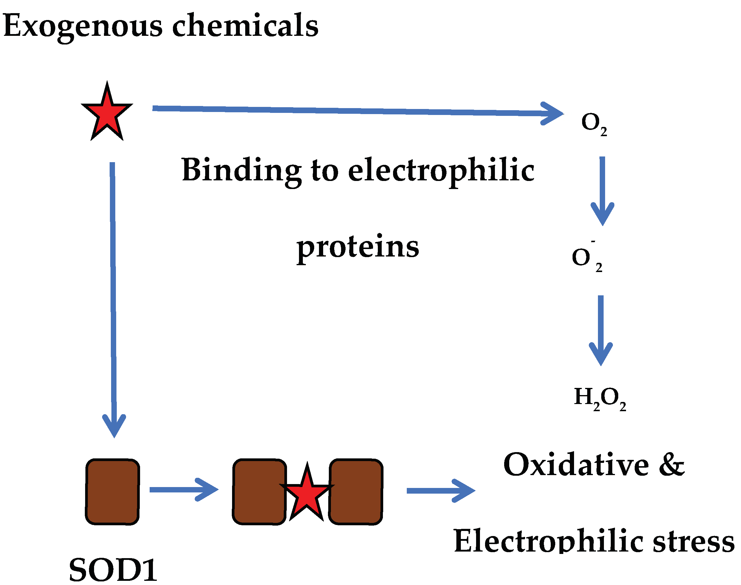Preprints 159226 g003