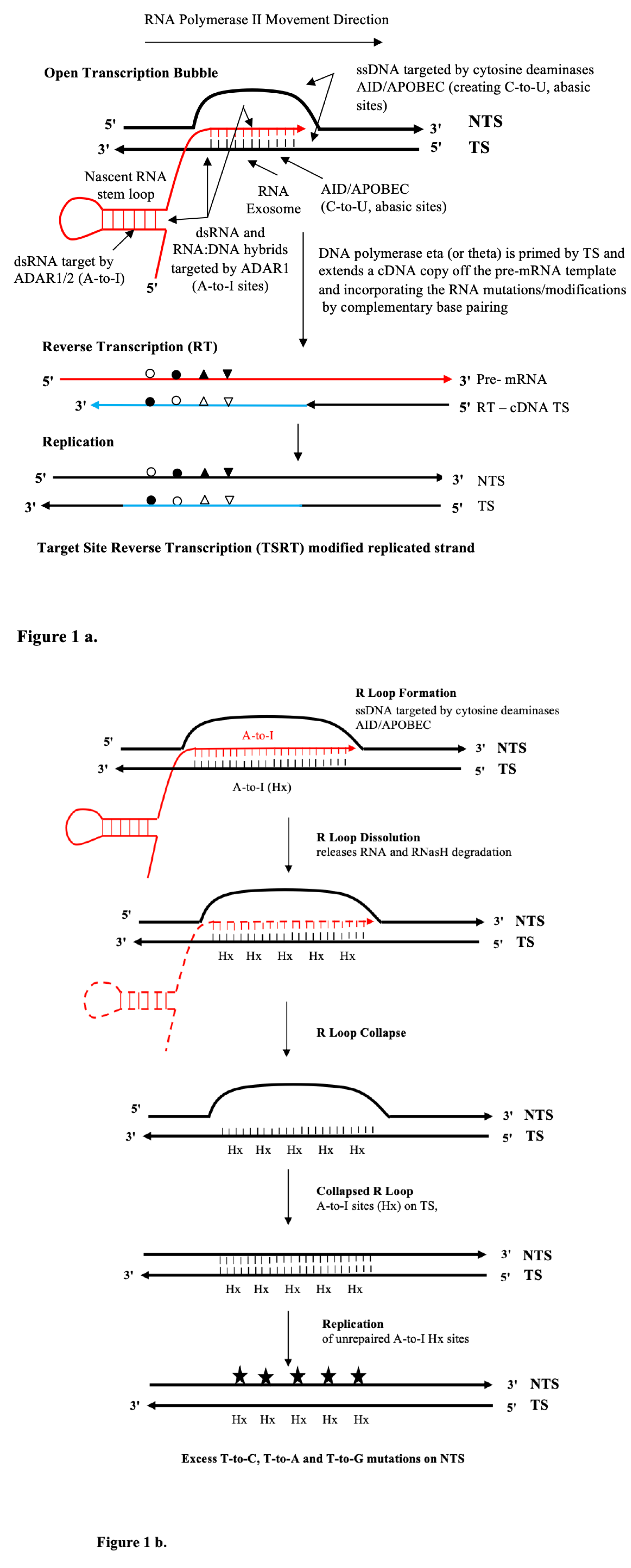 Preprints 140239 g001