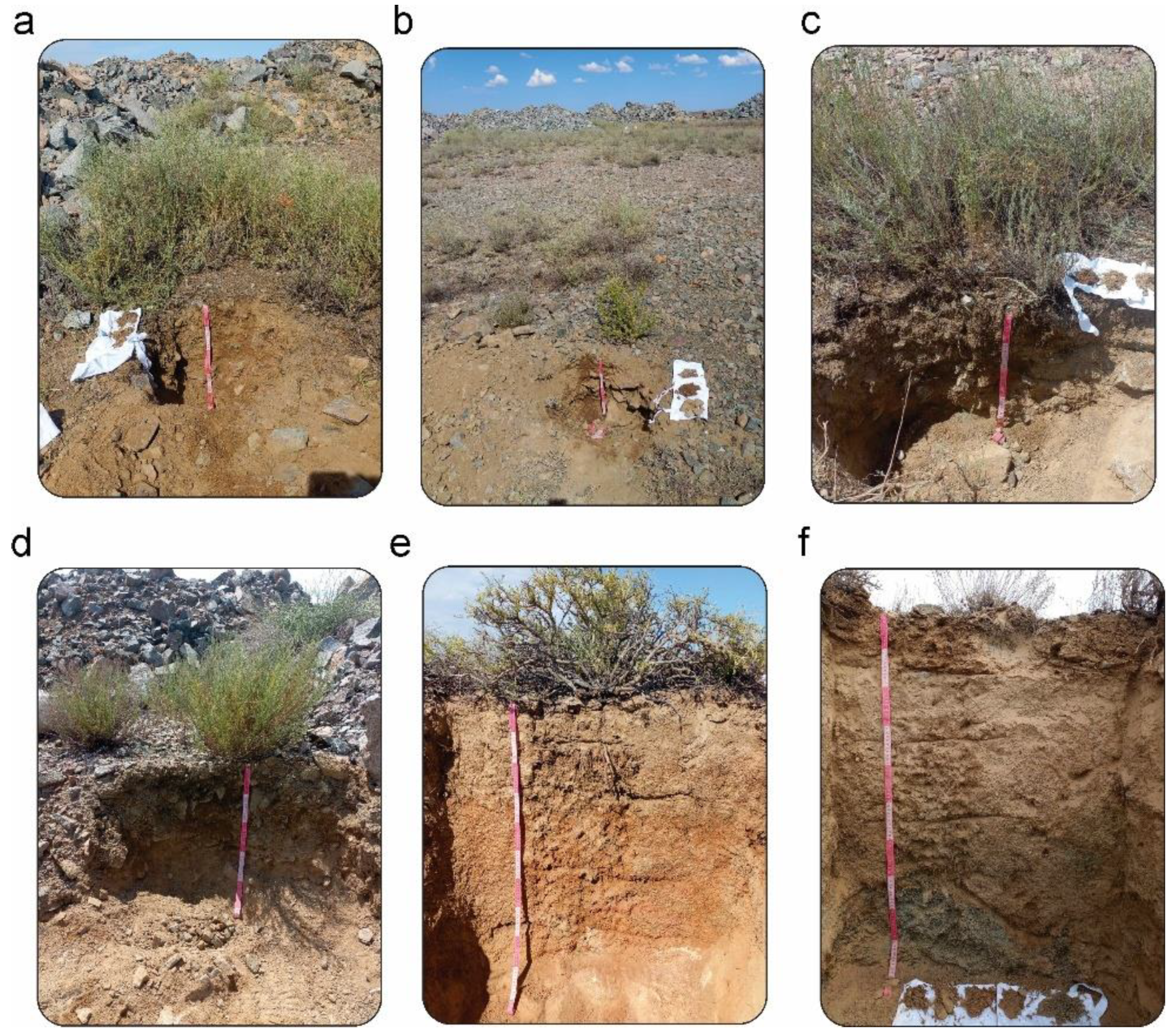 Preprints 151096 g002