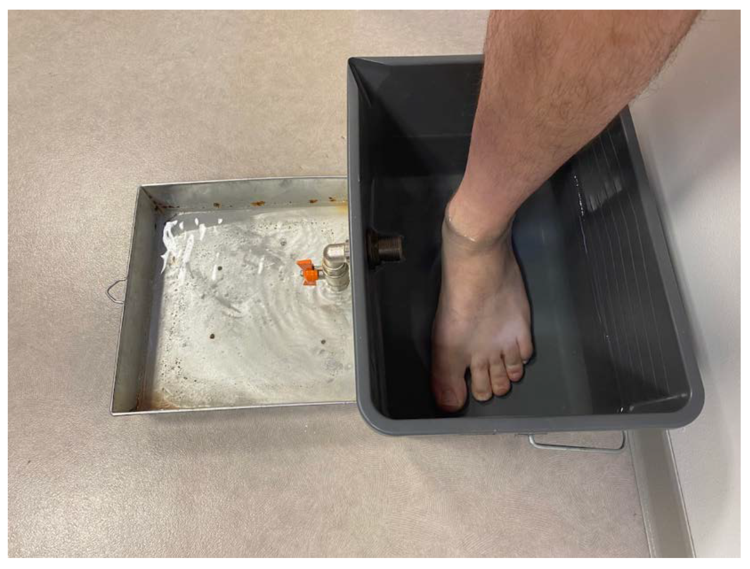 Preprints 70450 g002