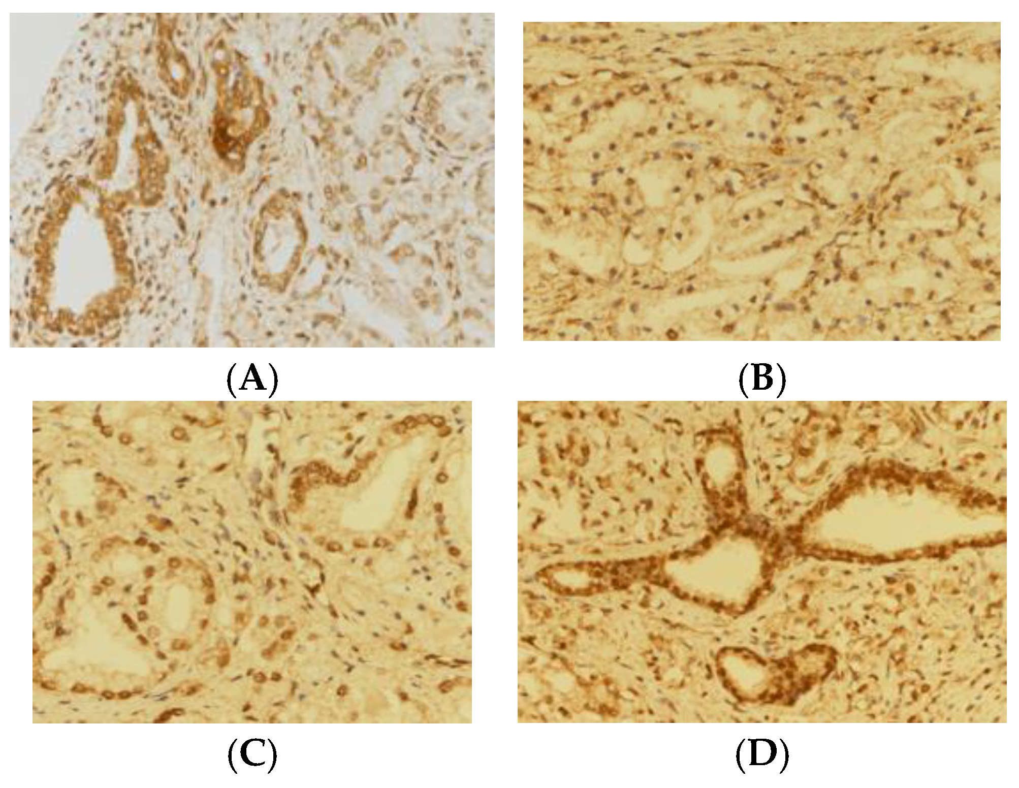Preprints 162940 g001