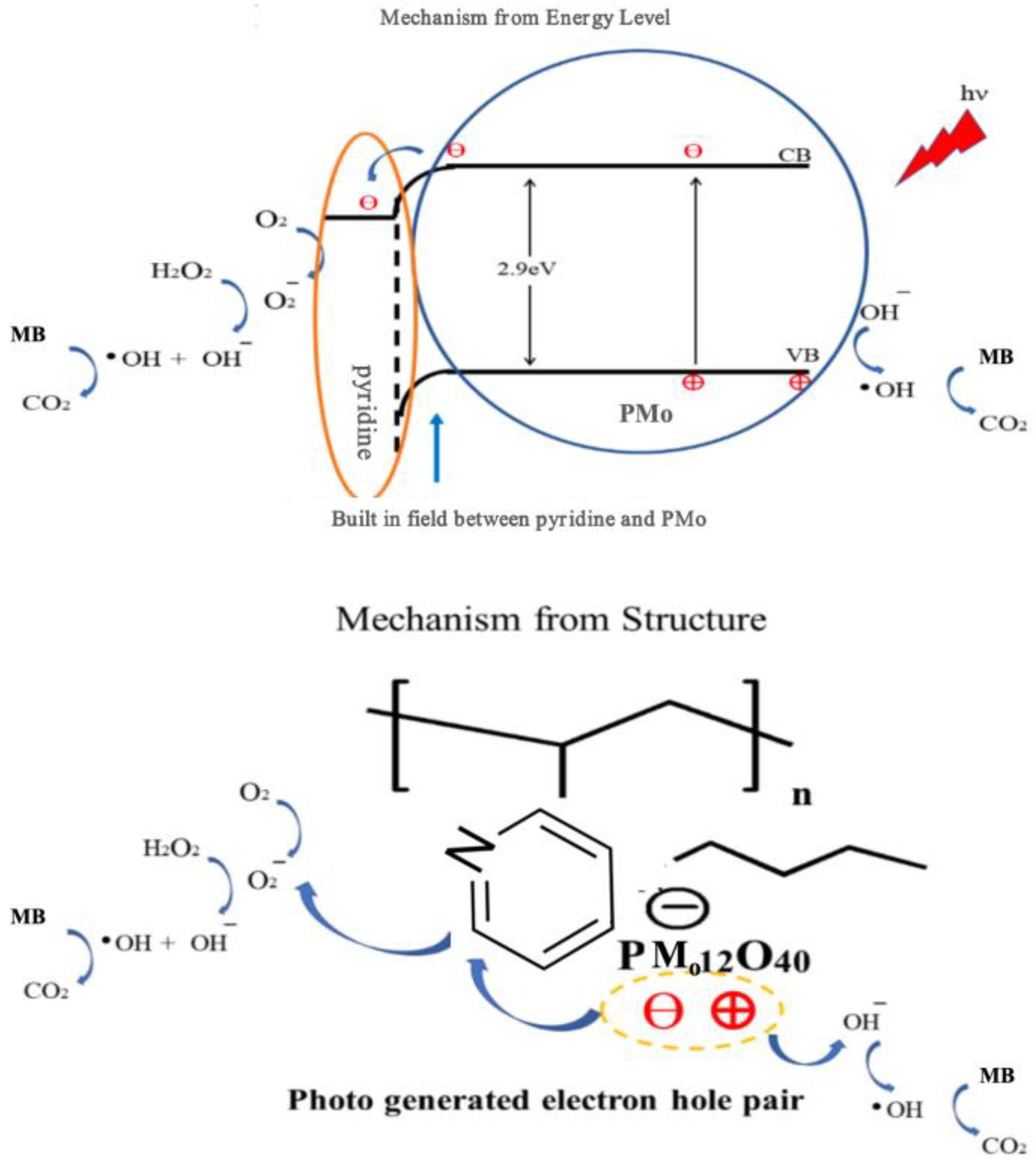 Preprints 191140 g005