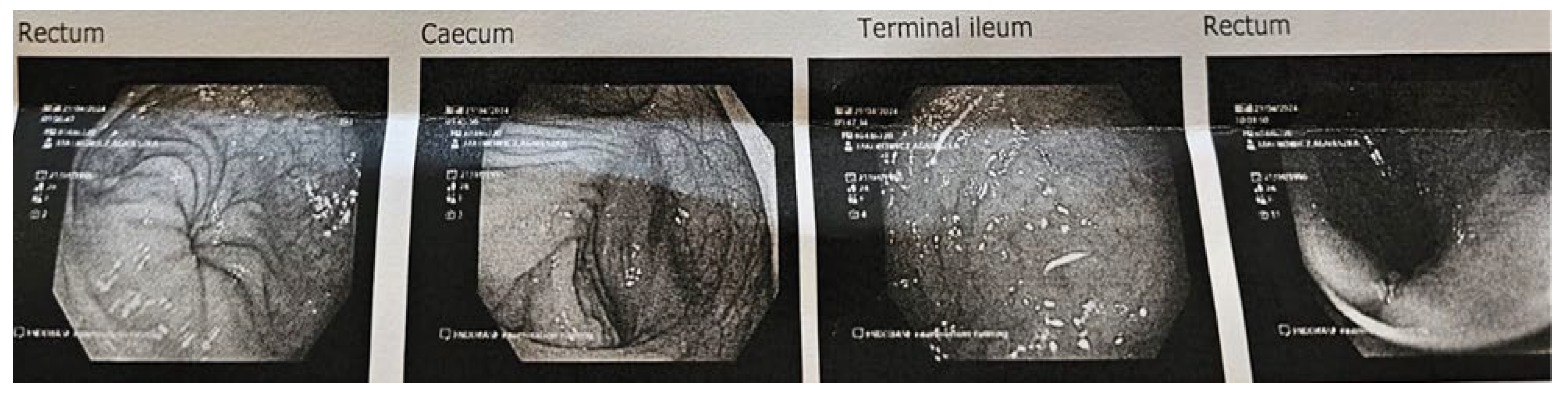 Preprints 182244 g003