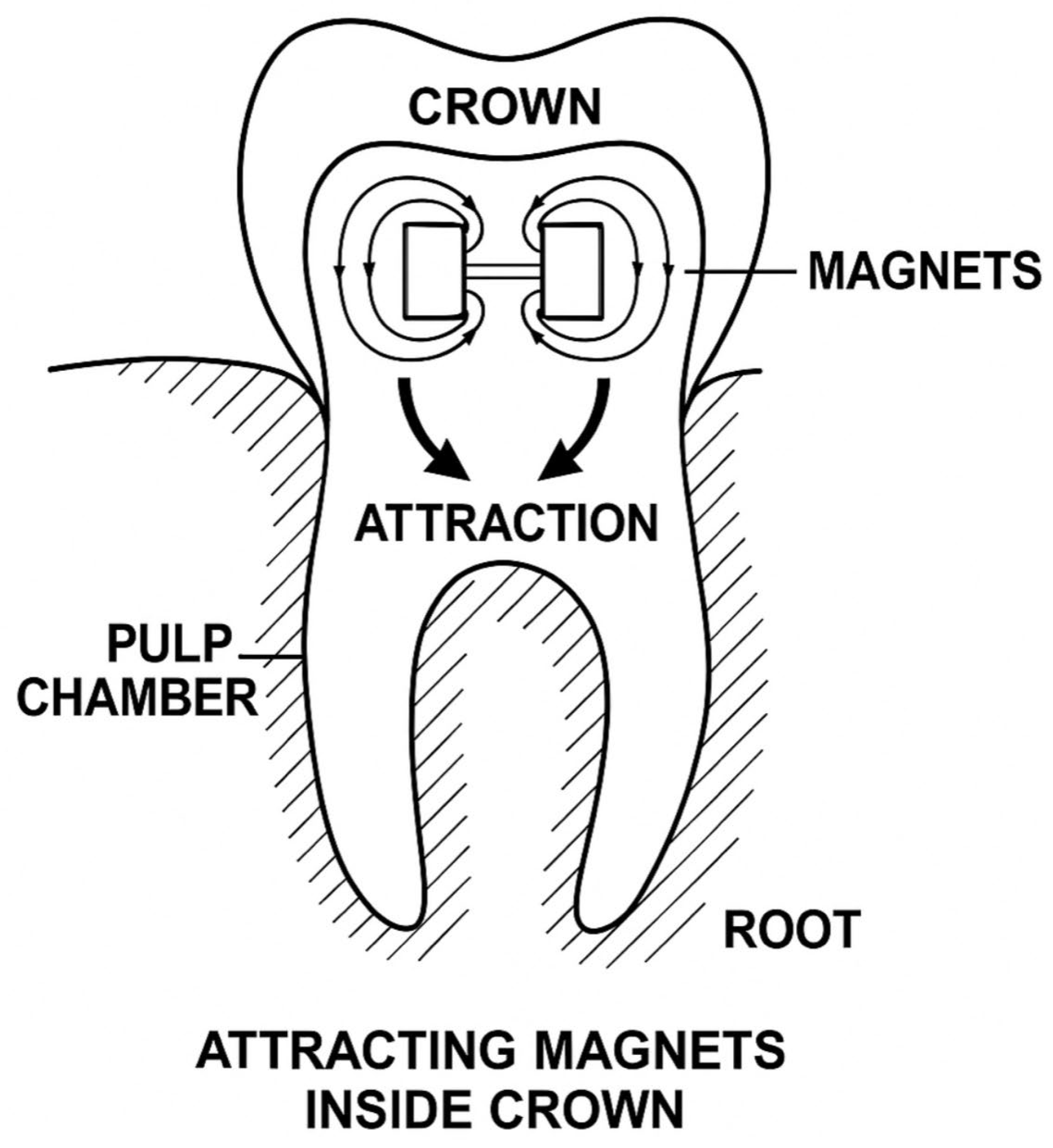 Preprints 161429 g001