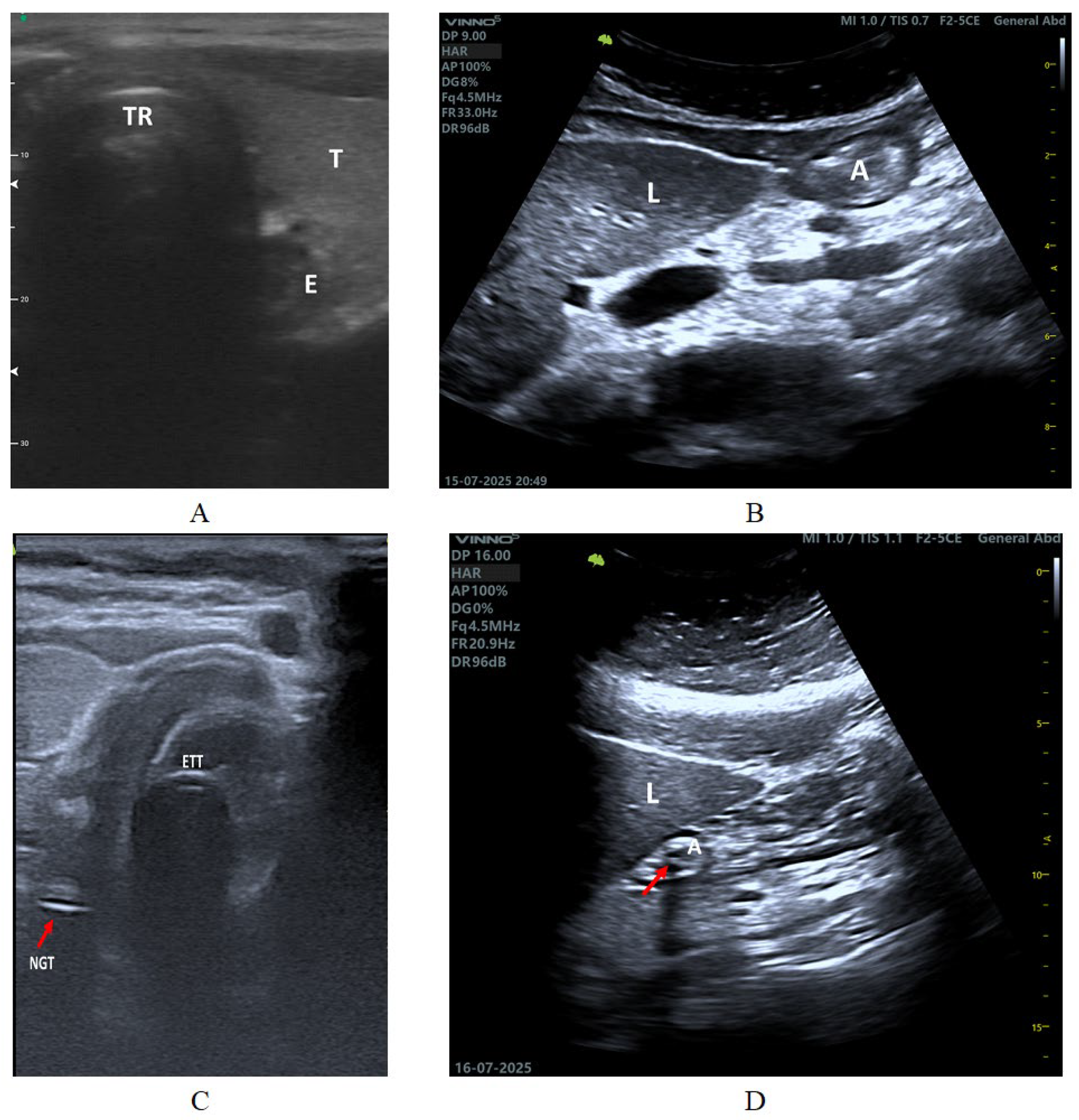 Preprints 198303 g003