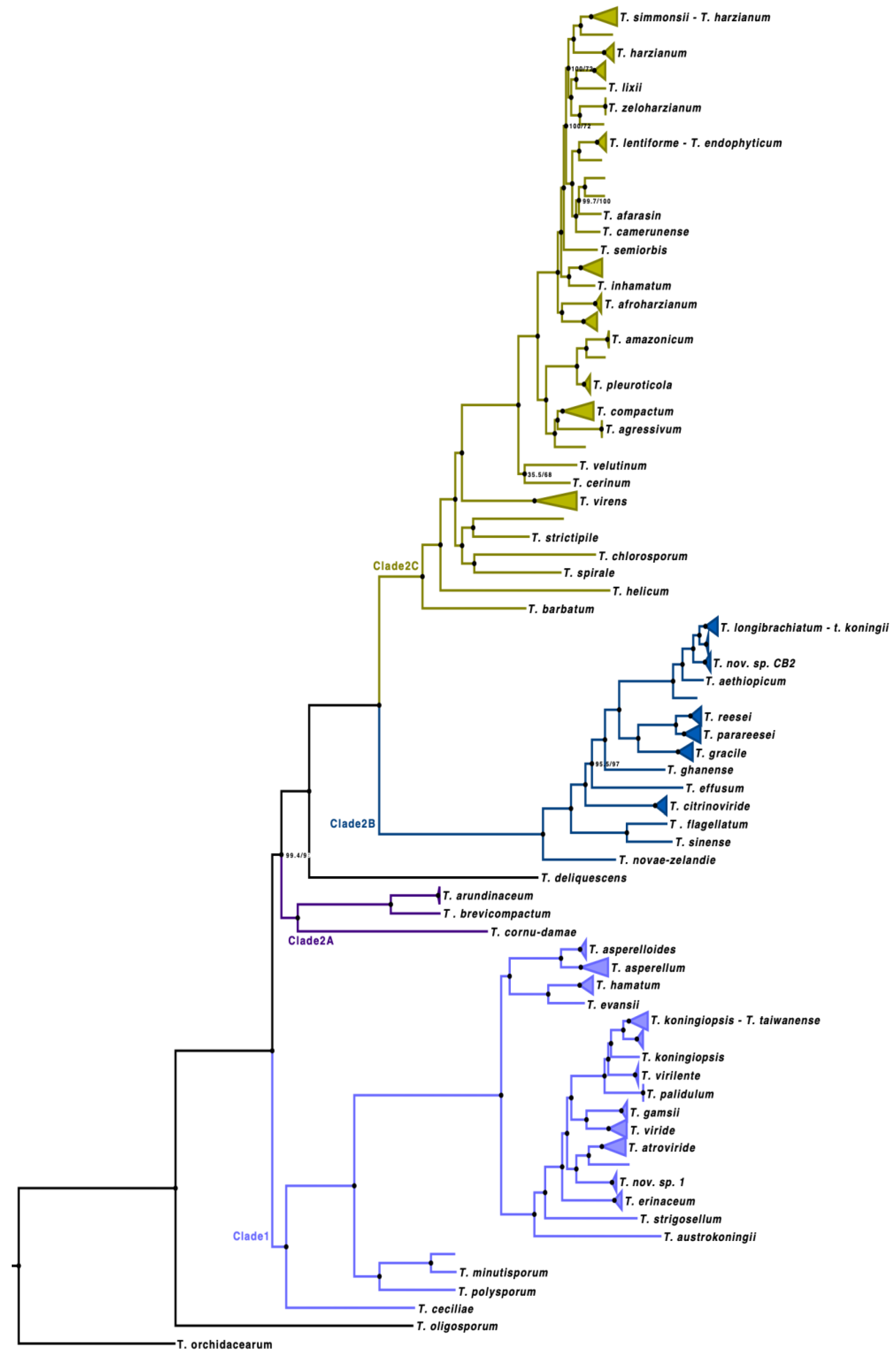 Preprints 225139 g001