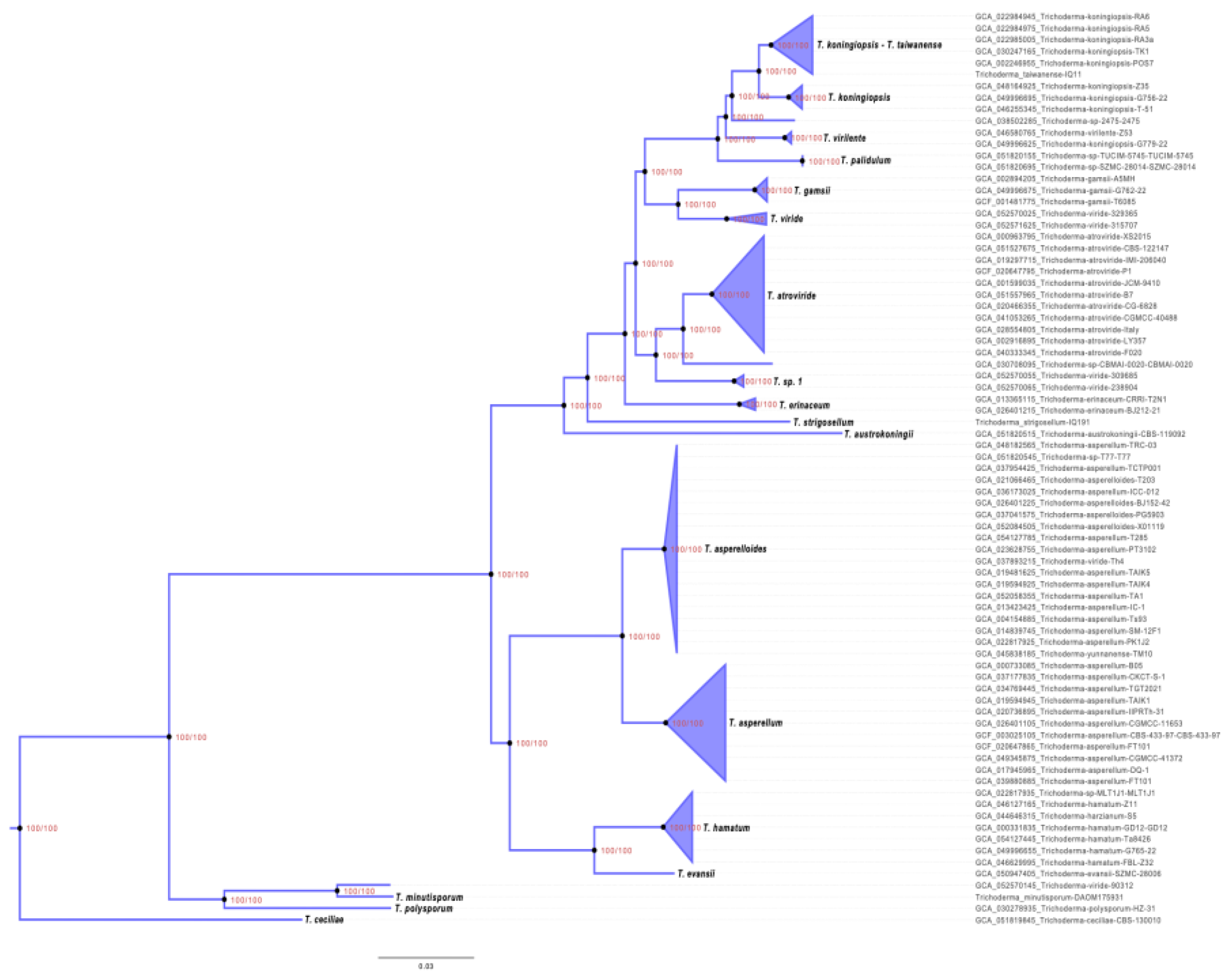 Preprints 225139 g002