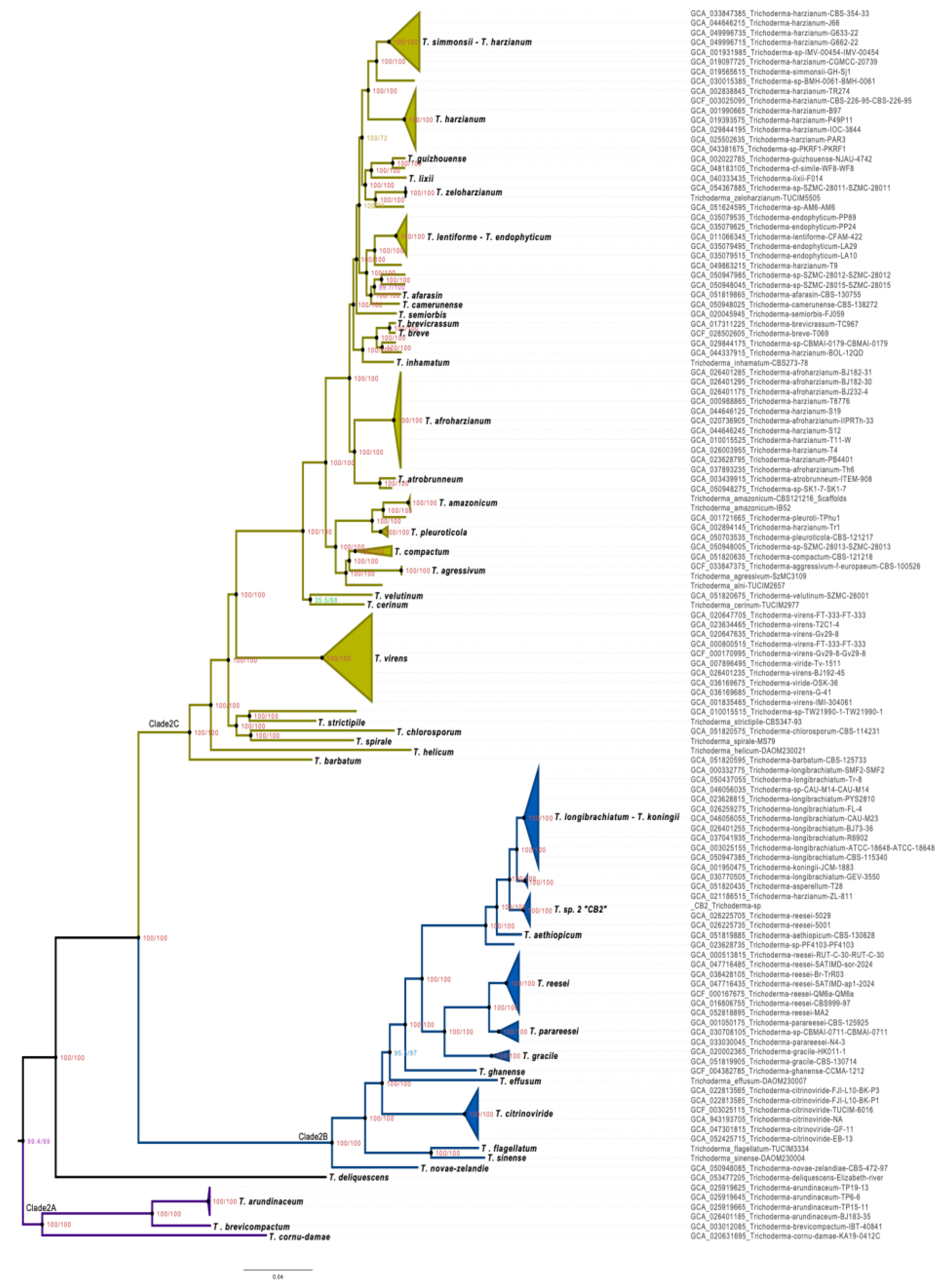 Preprints 225139 g003