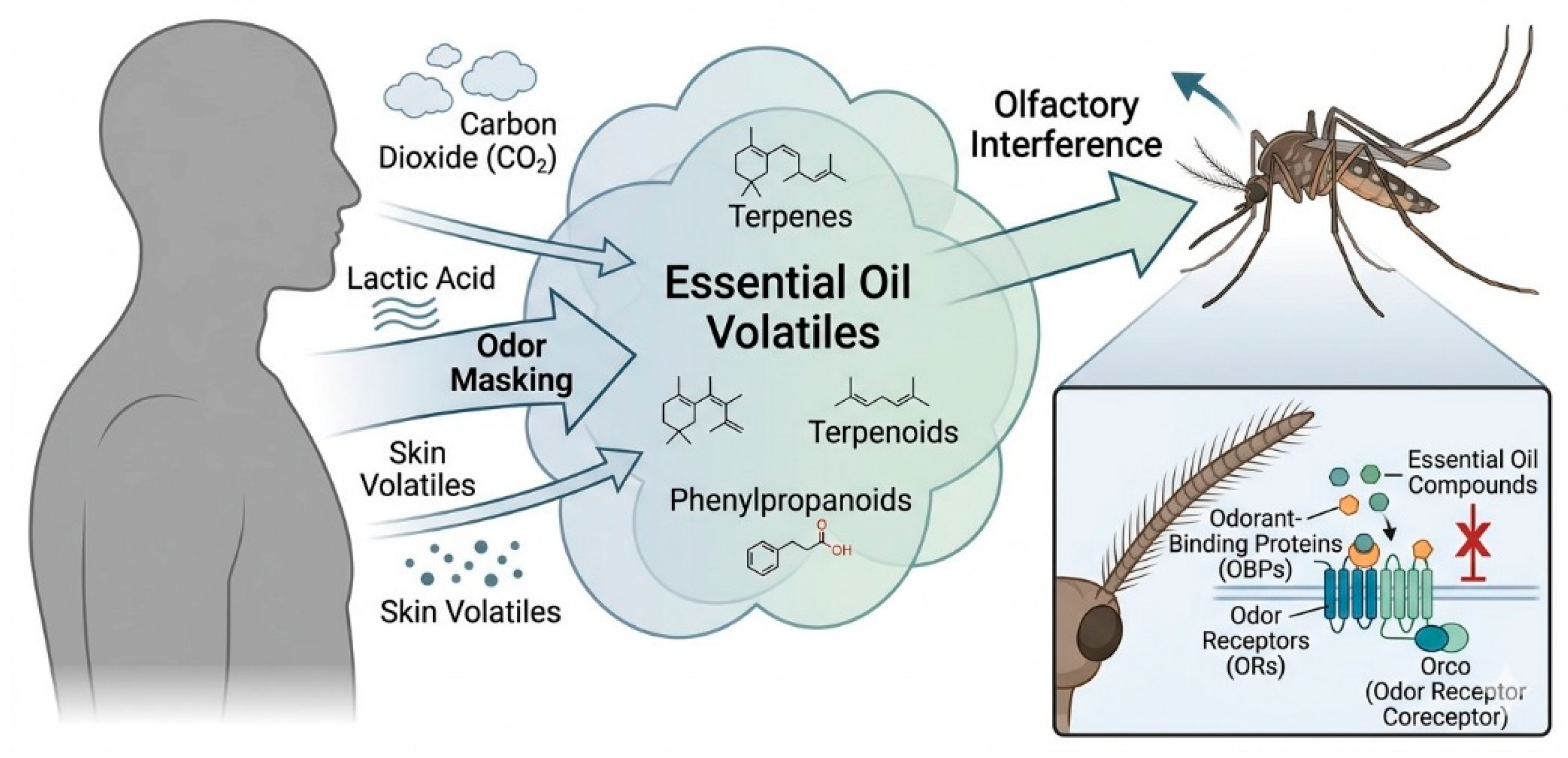 Preprints 209358 g002