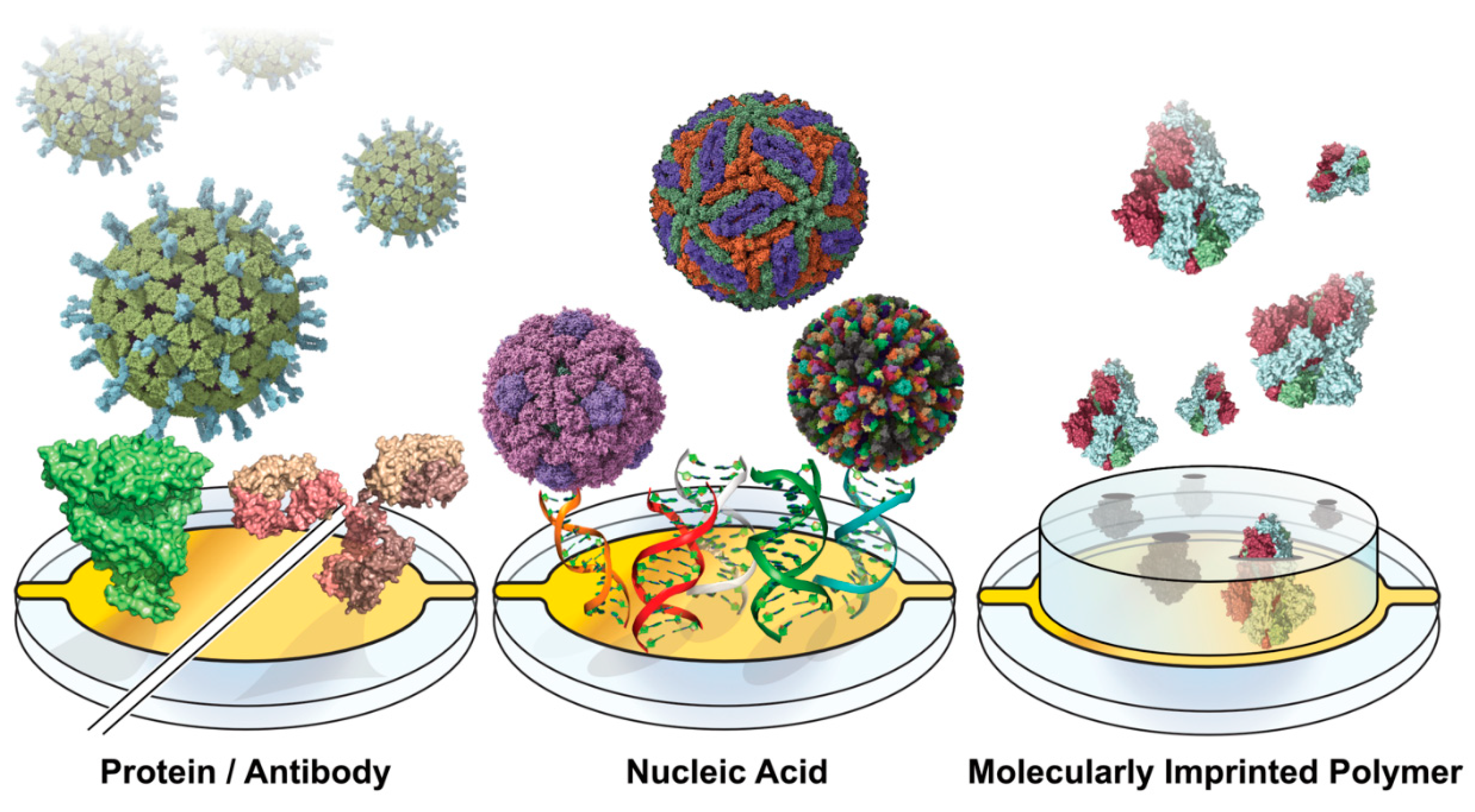 Preprints 157794 g001