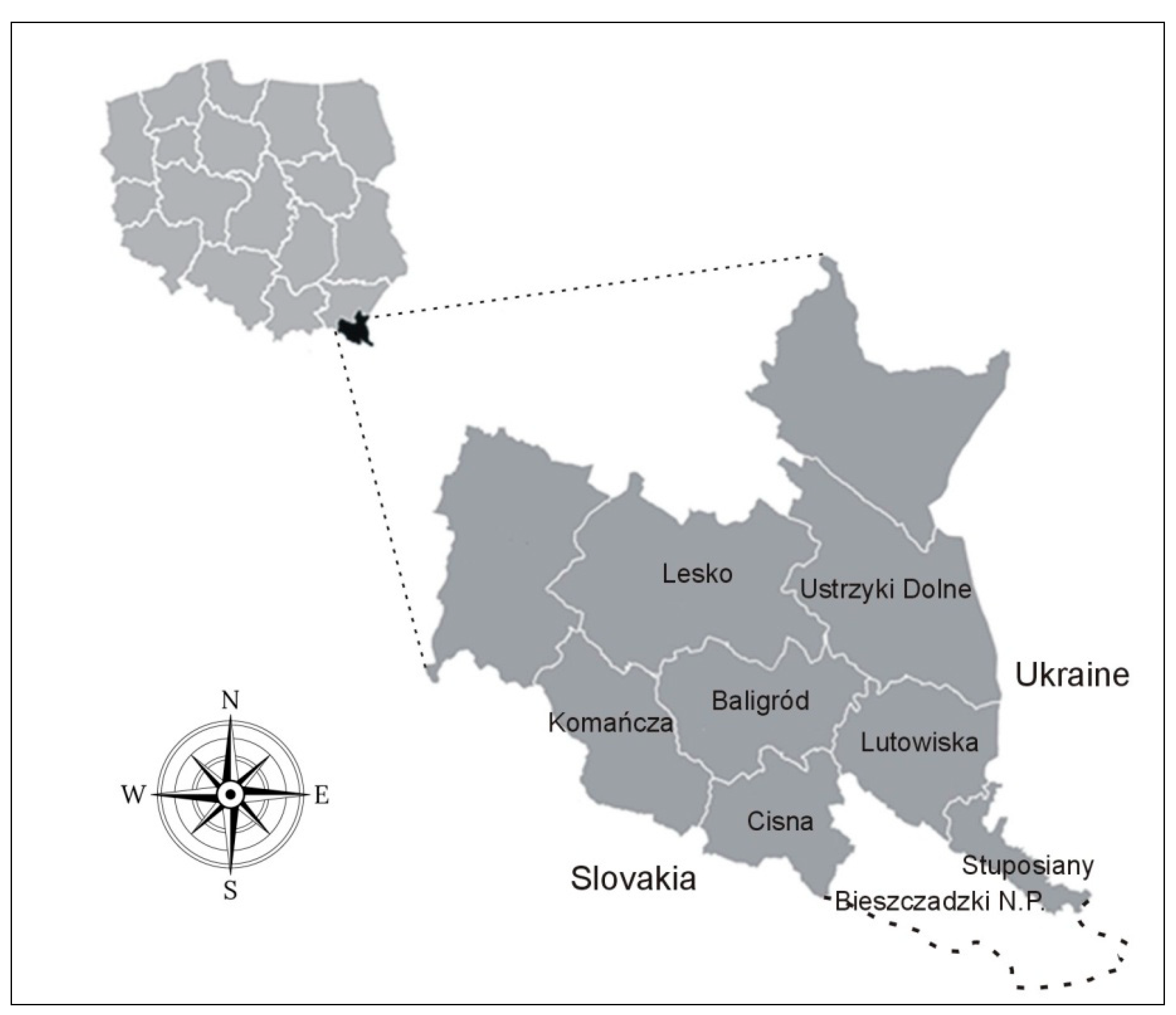 Preprints 166279 g001