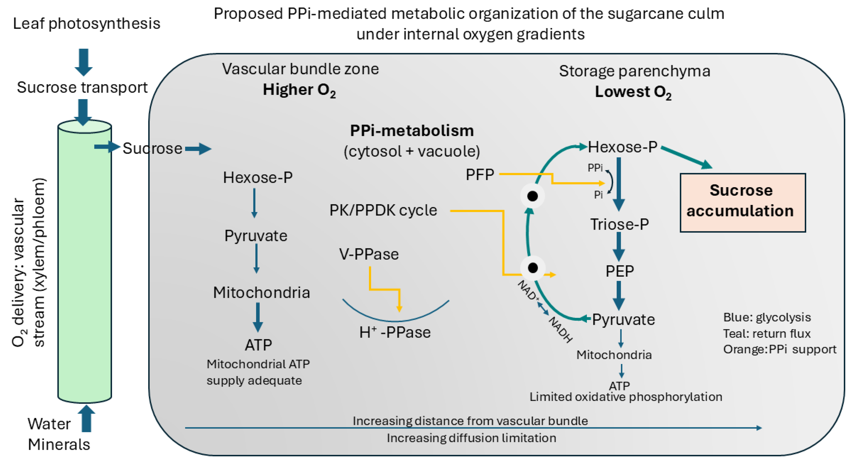 Preprints 200791 g008