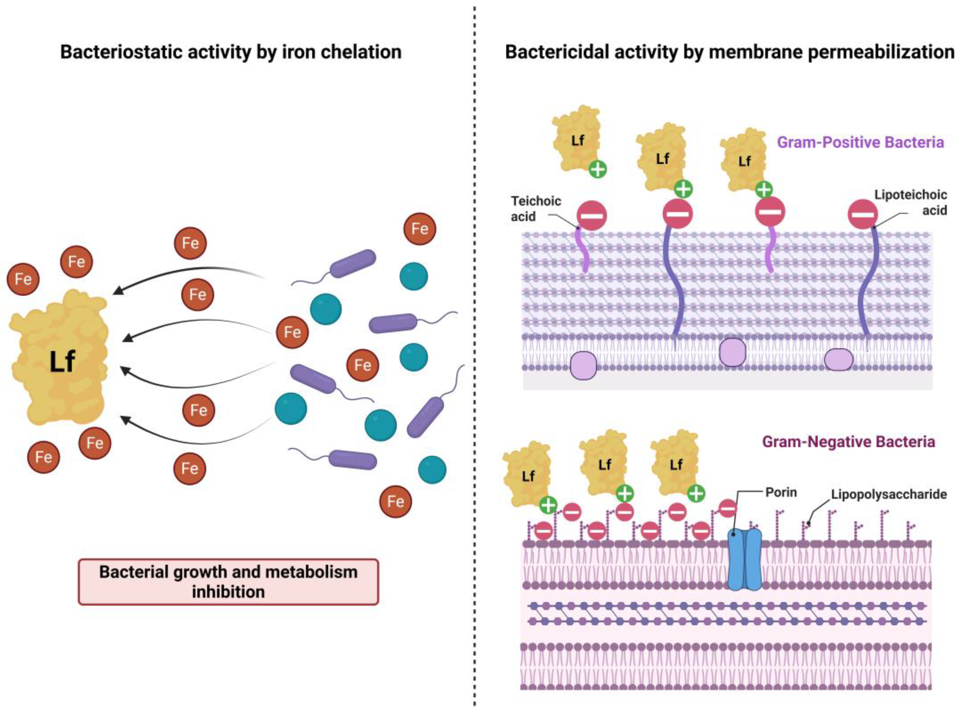 Preprints 197172 g001