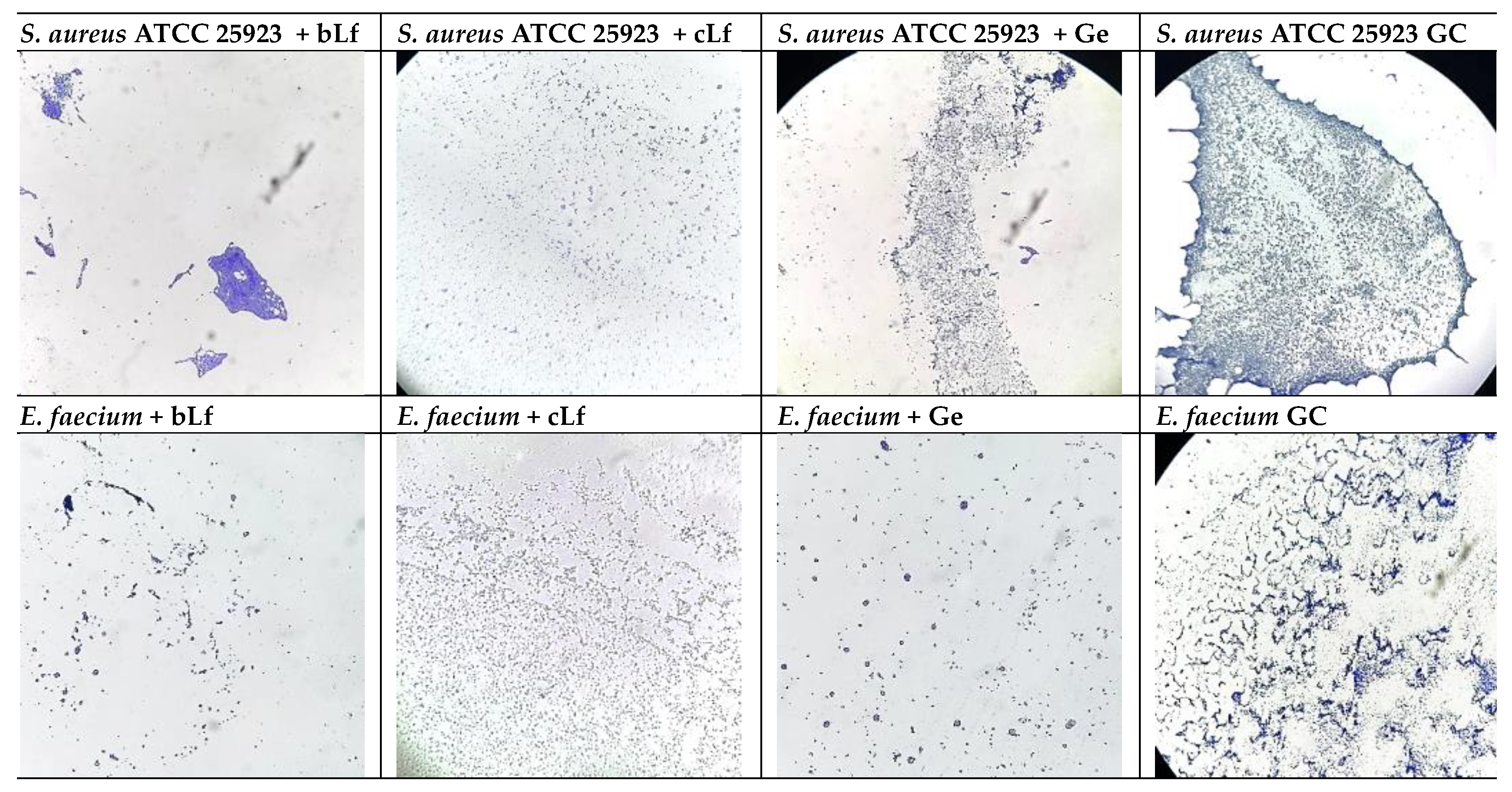 Preprints 197172 g002