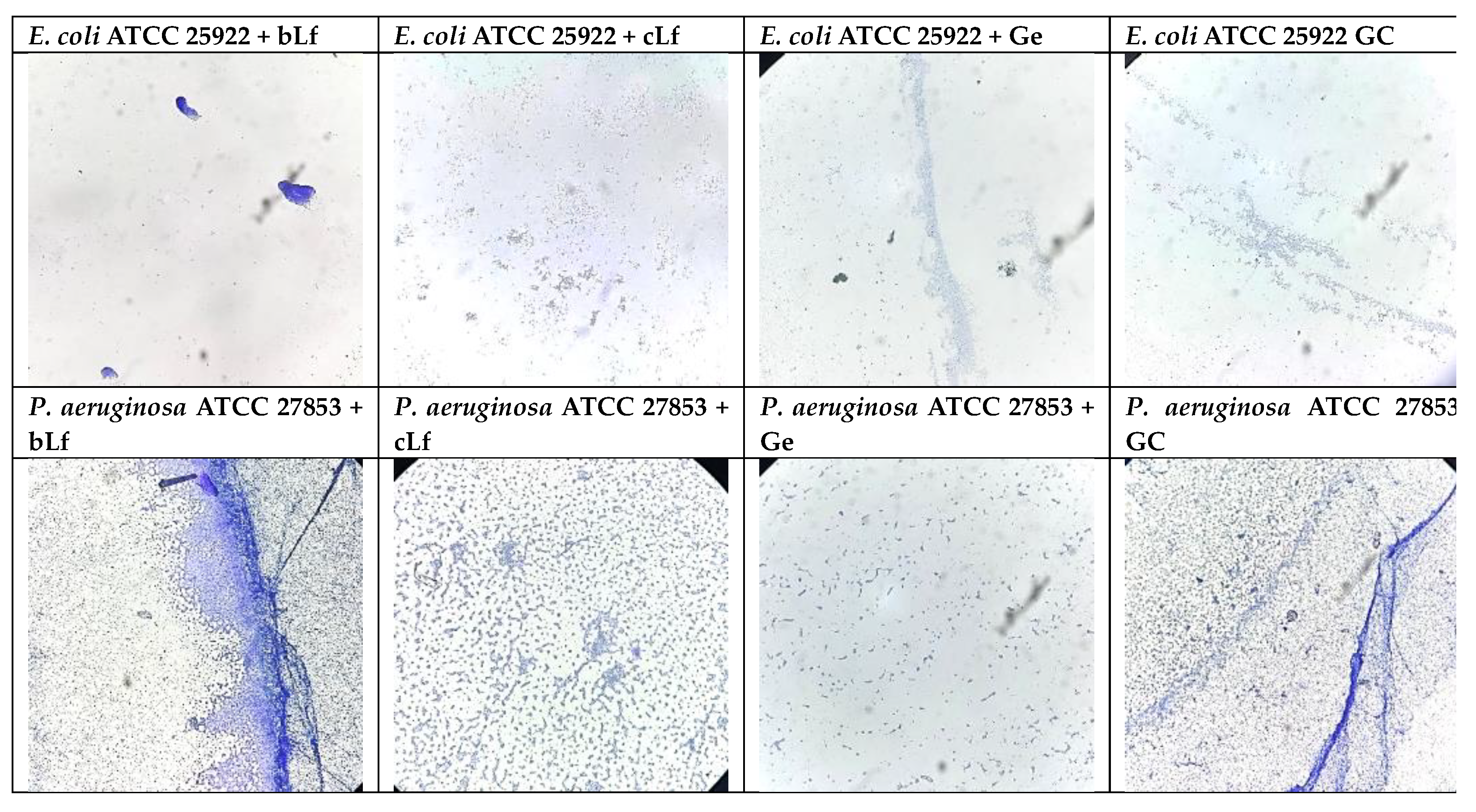 Preprints 197172 g003