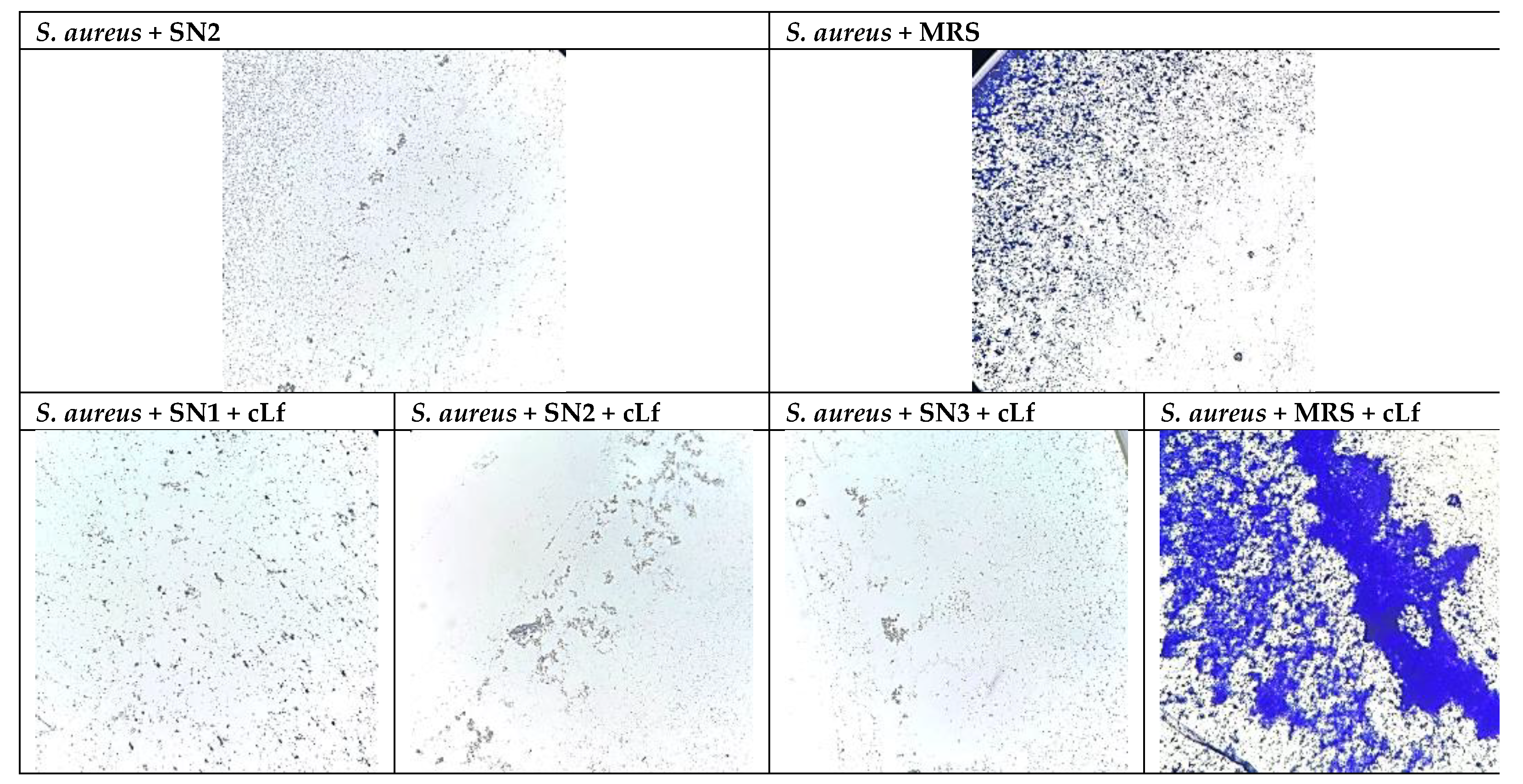 Preprints 197172 g004