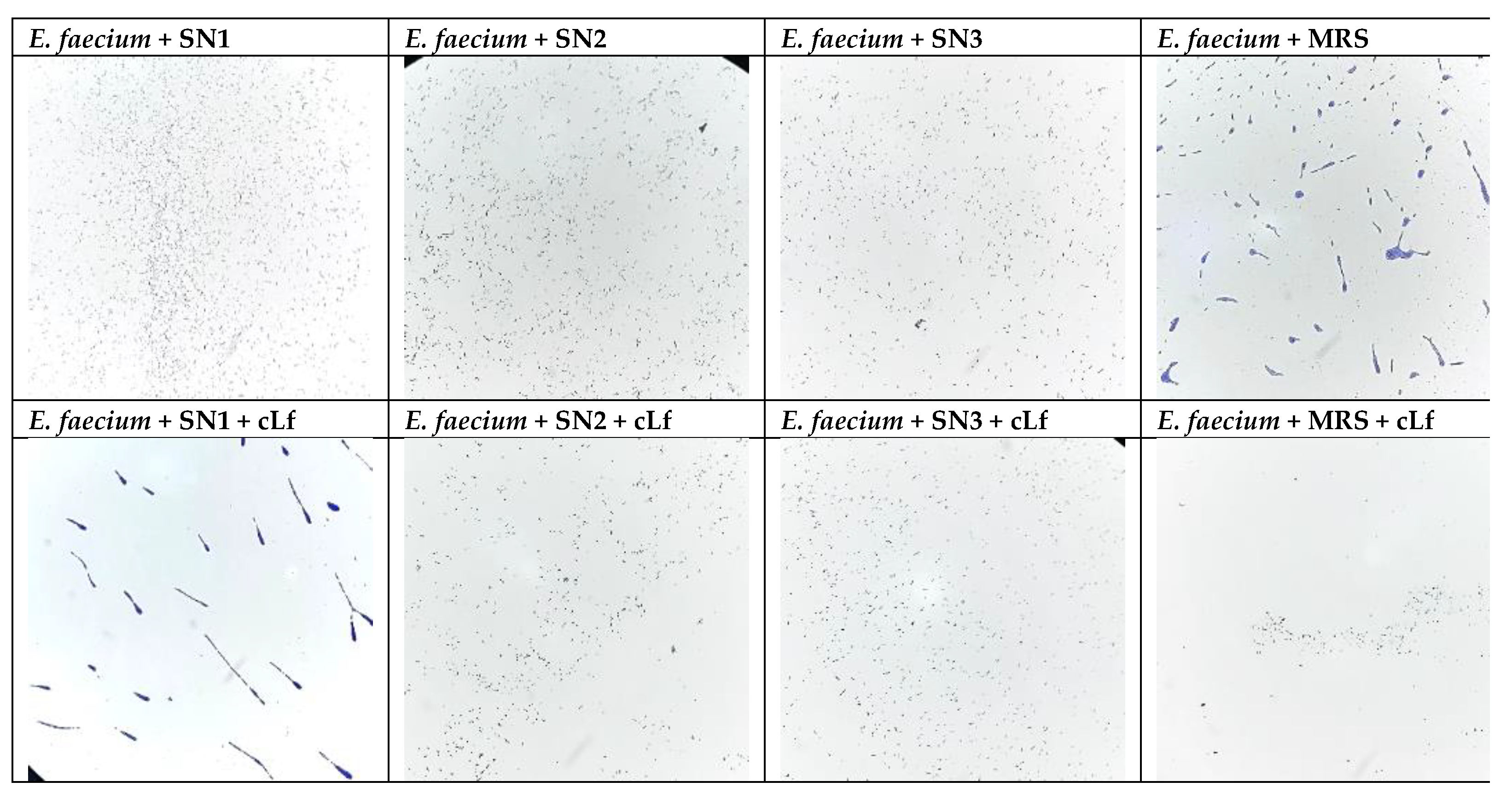 Preprints 197172 g005