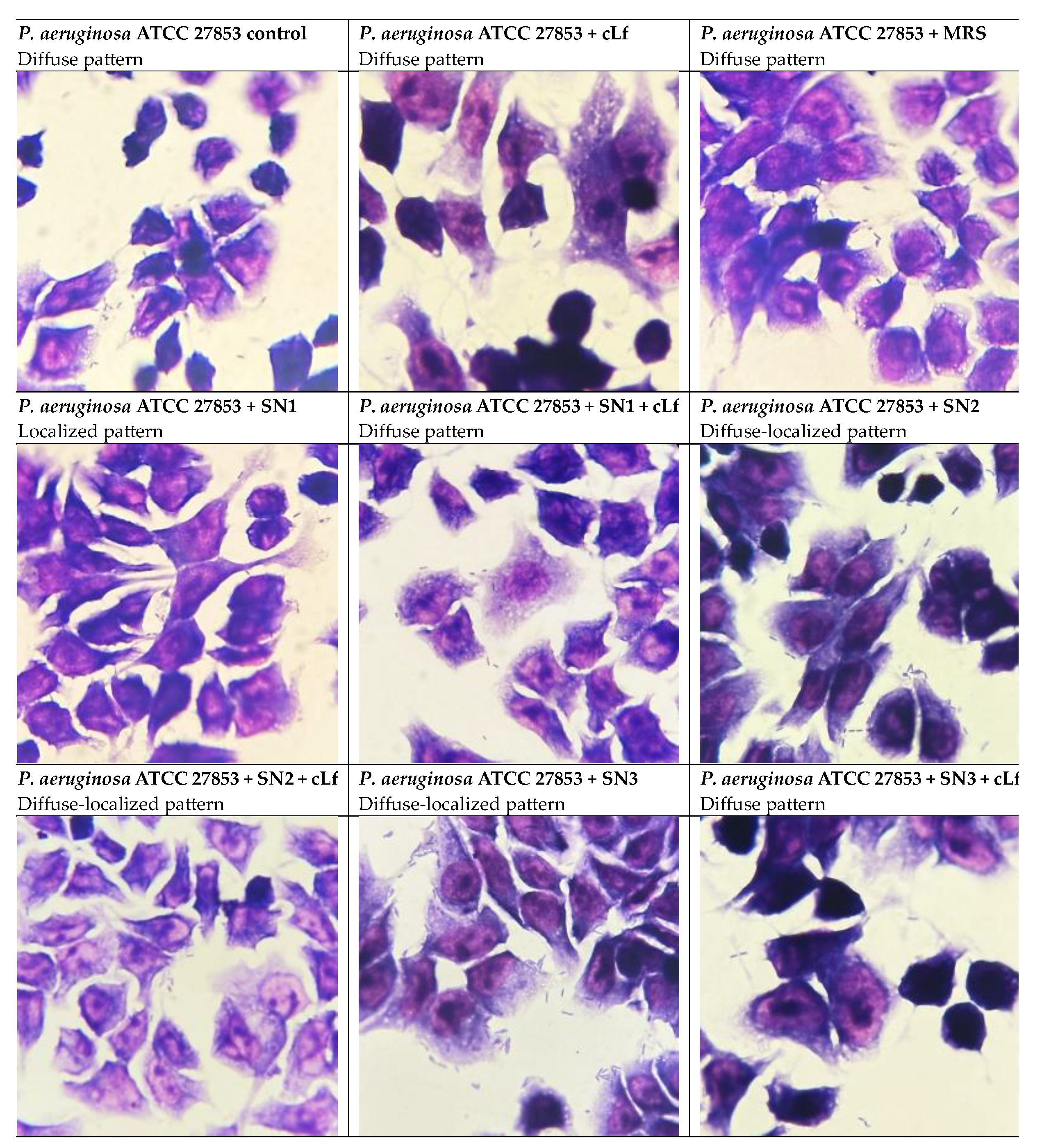 Preprints 197172 g013