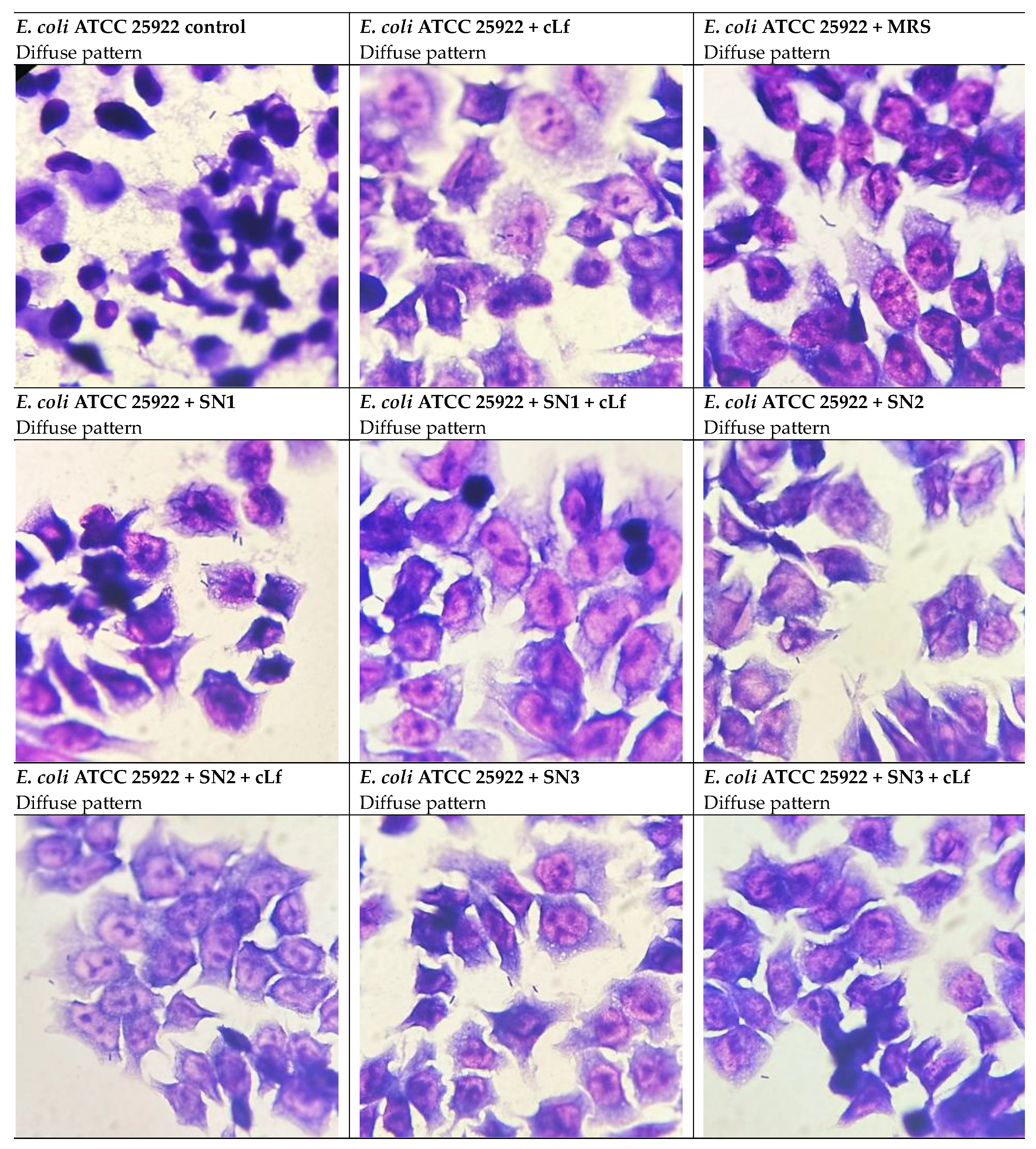 Preprints 197172 g014