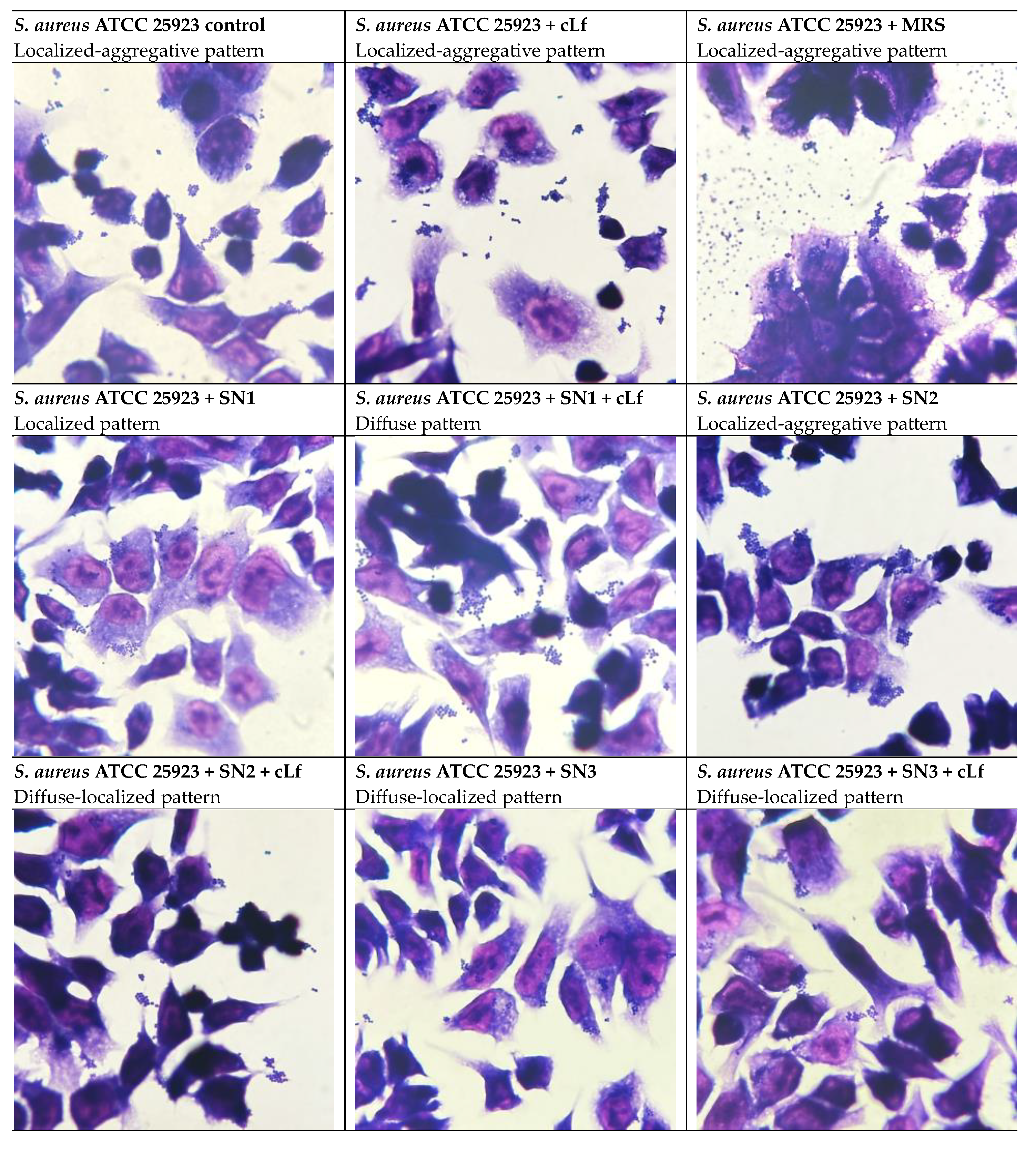 Preprints 197172 g015