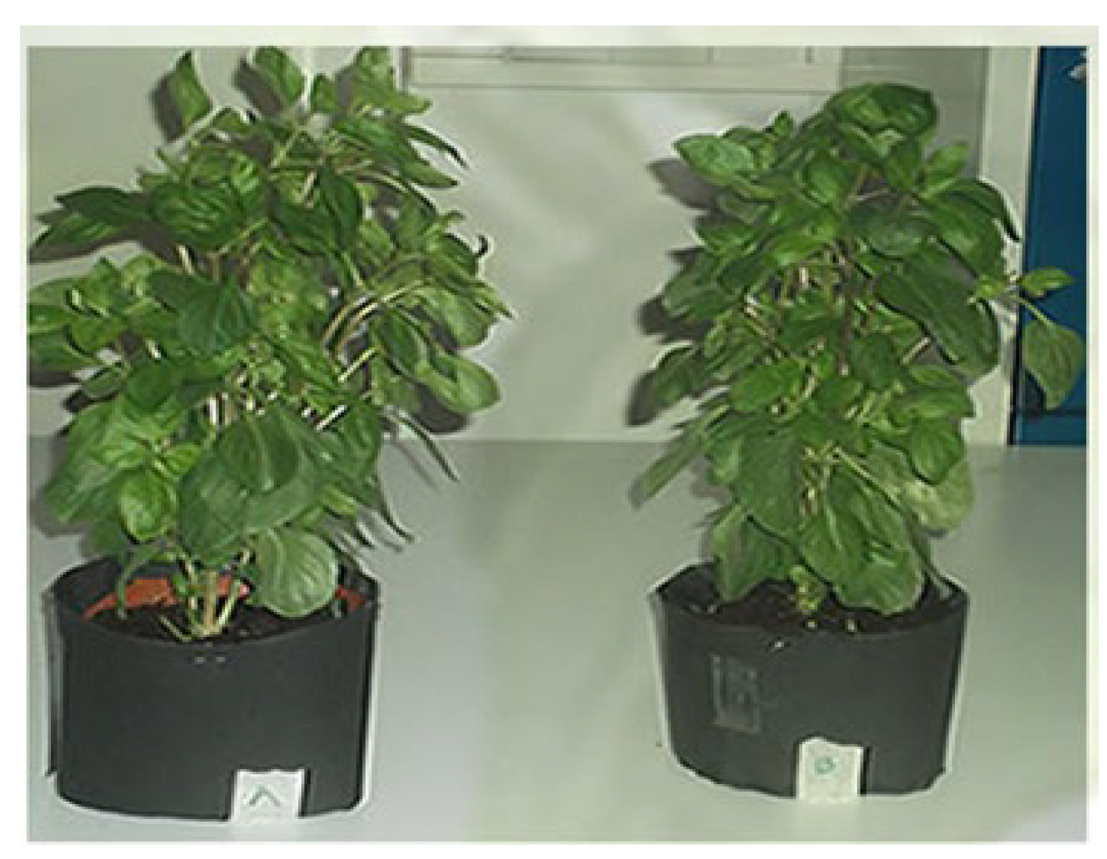 Preprints 141410 g001