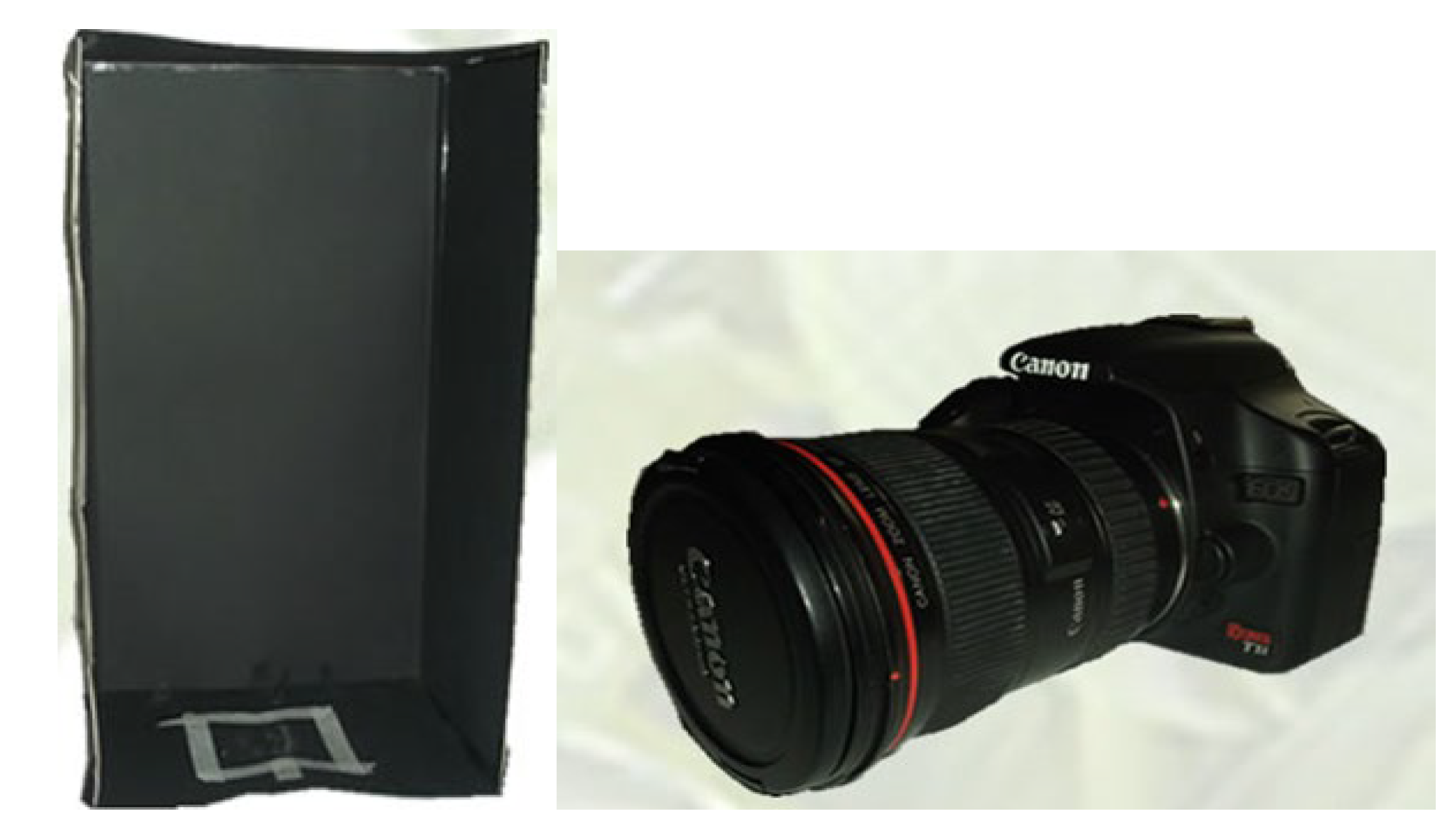 Preprints 141410 g002