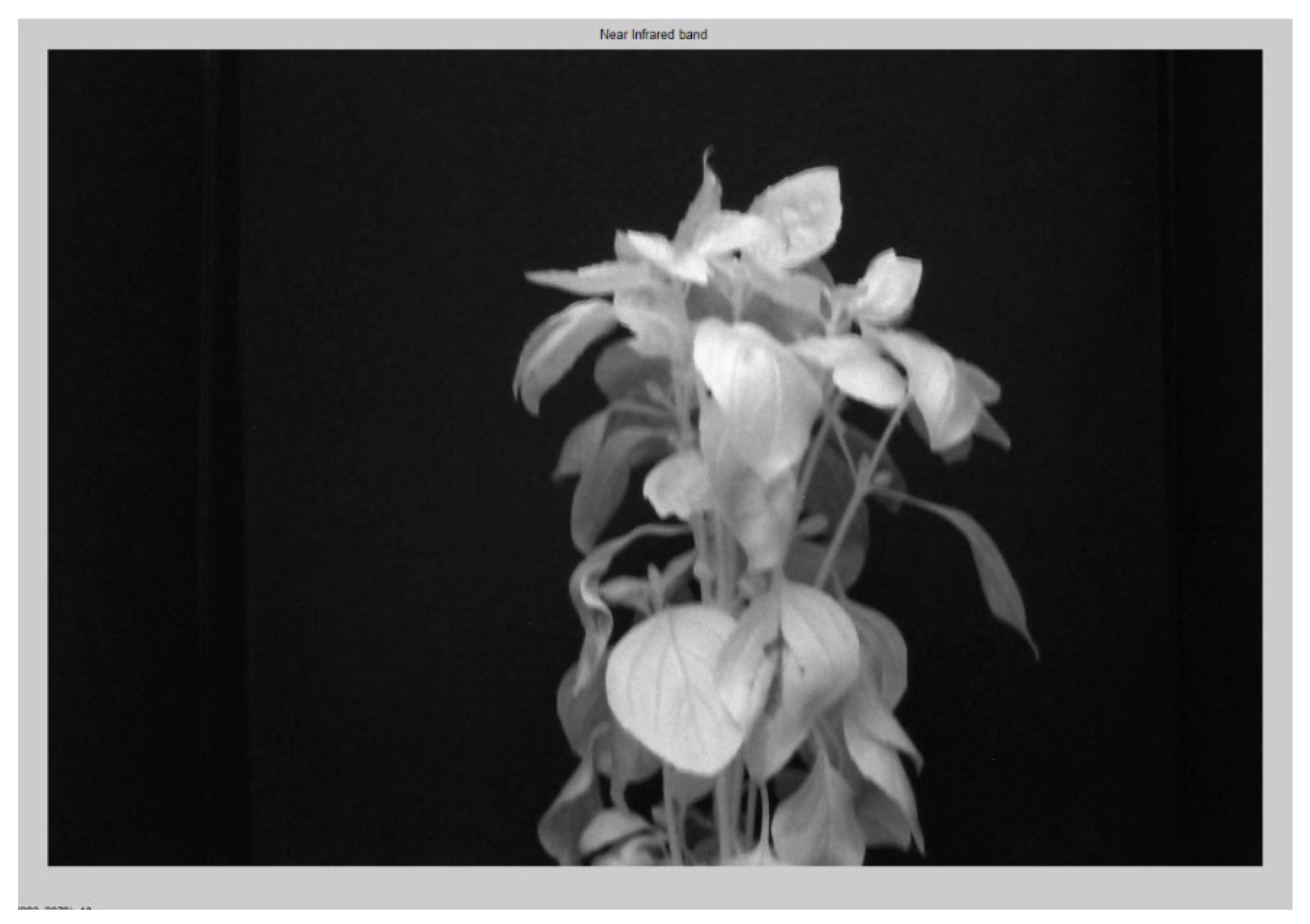 Preprints 141410 g004