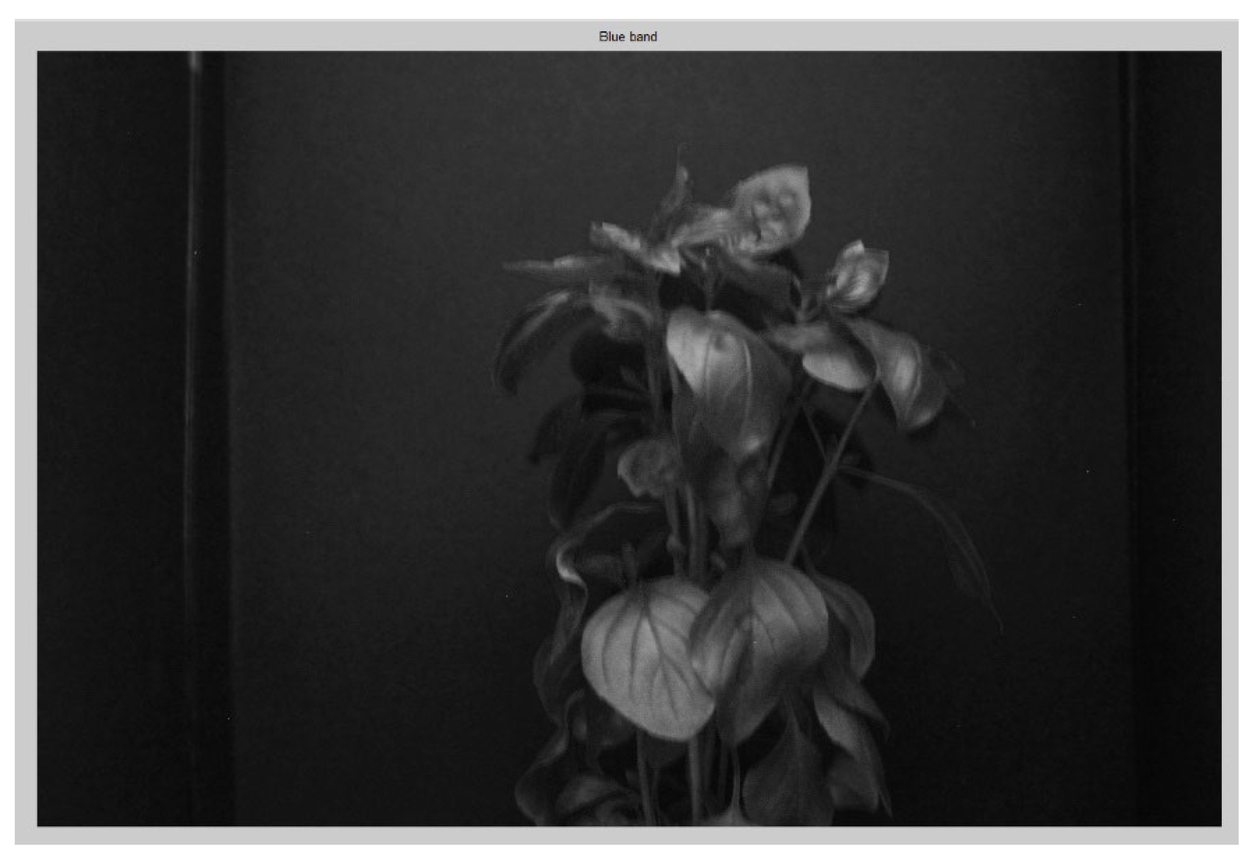 Preprints 141410 g005