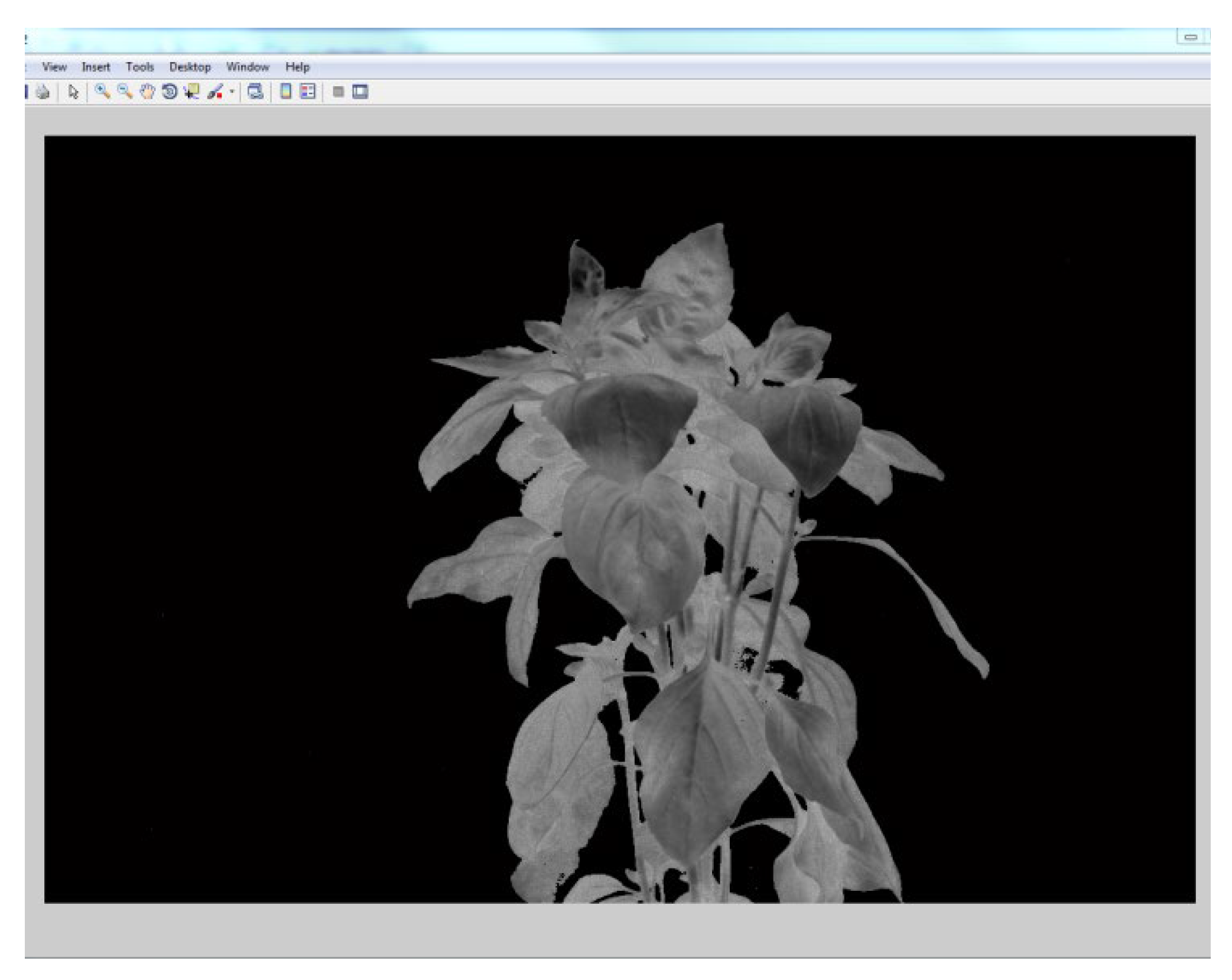 Preprints 141410 g008