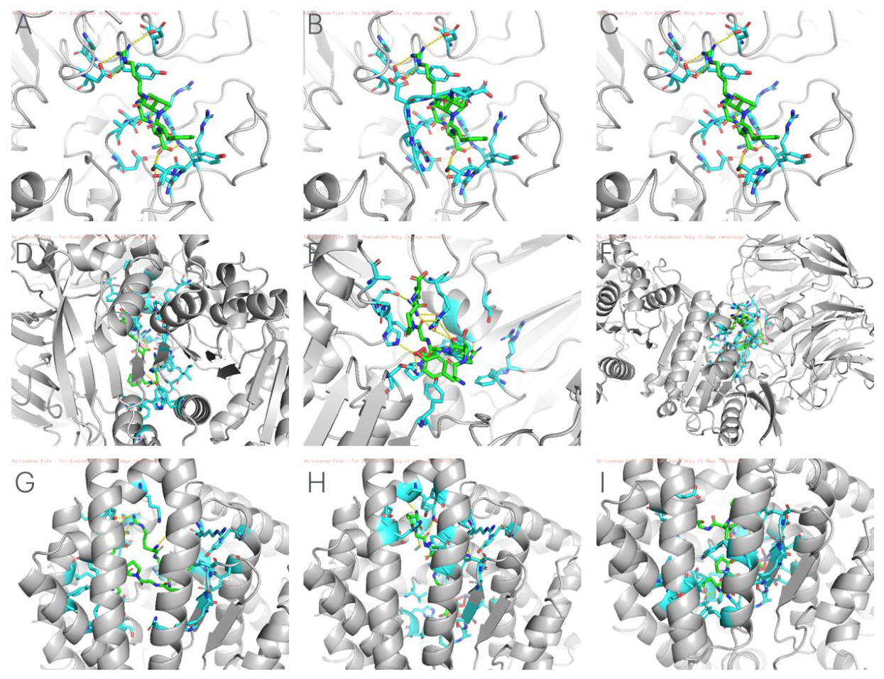 Preprints 228270 g001