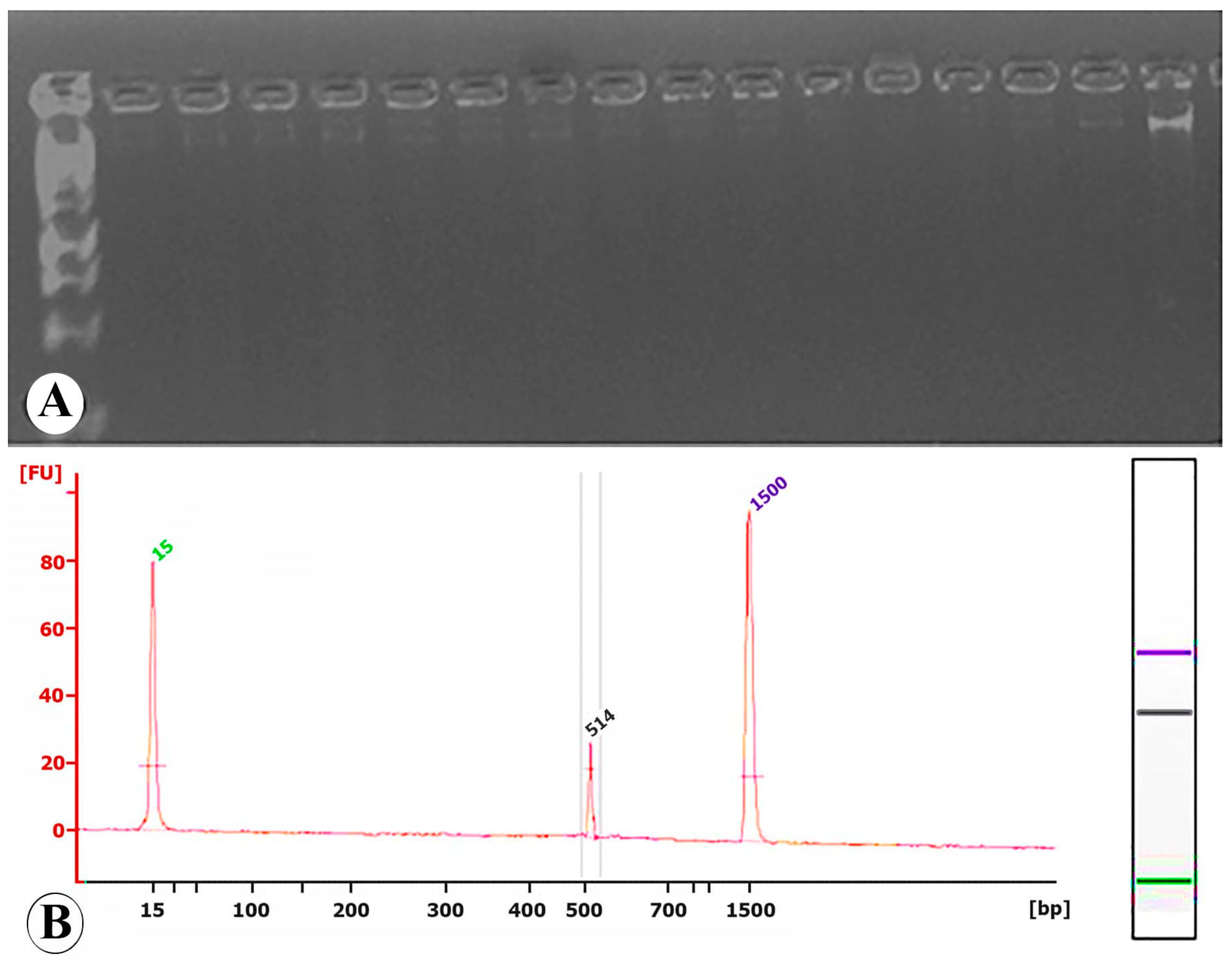 Preprints 198489 g001