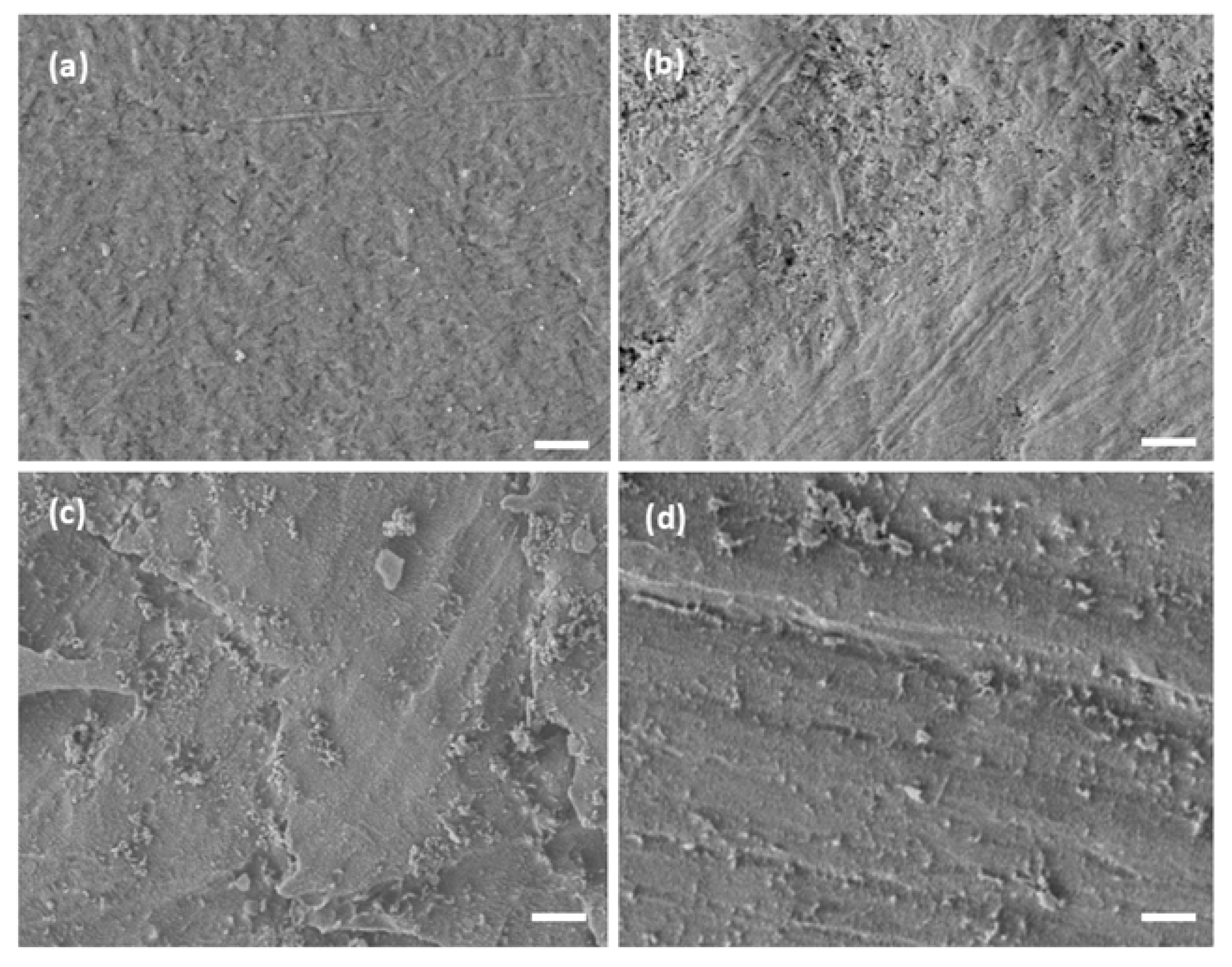 Preprints 184229 g003