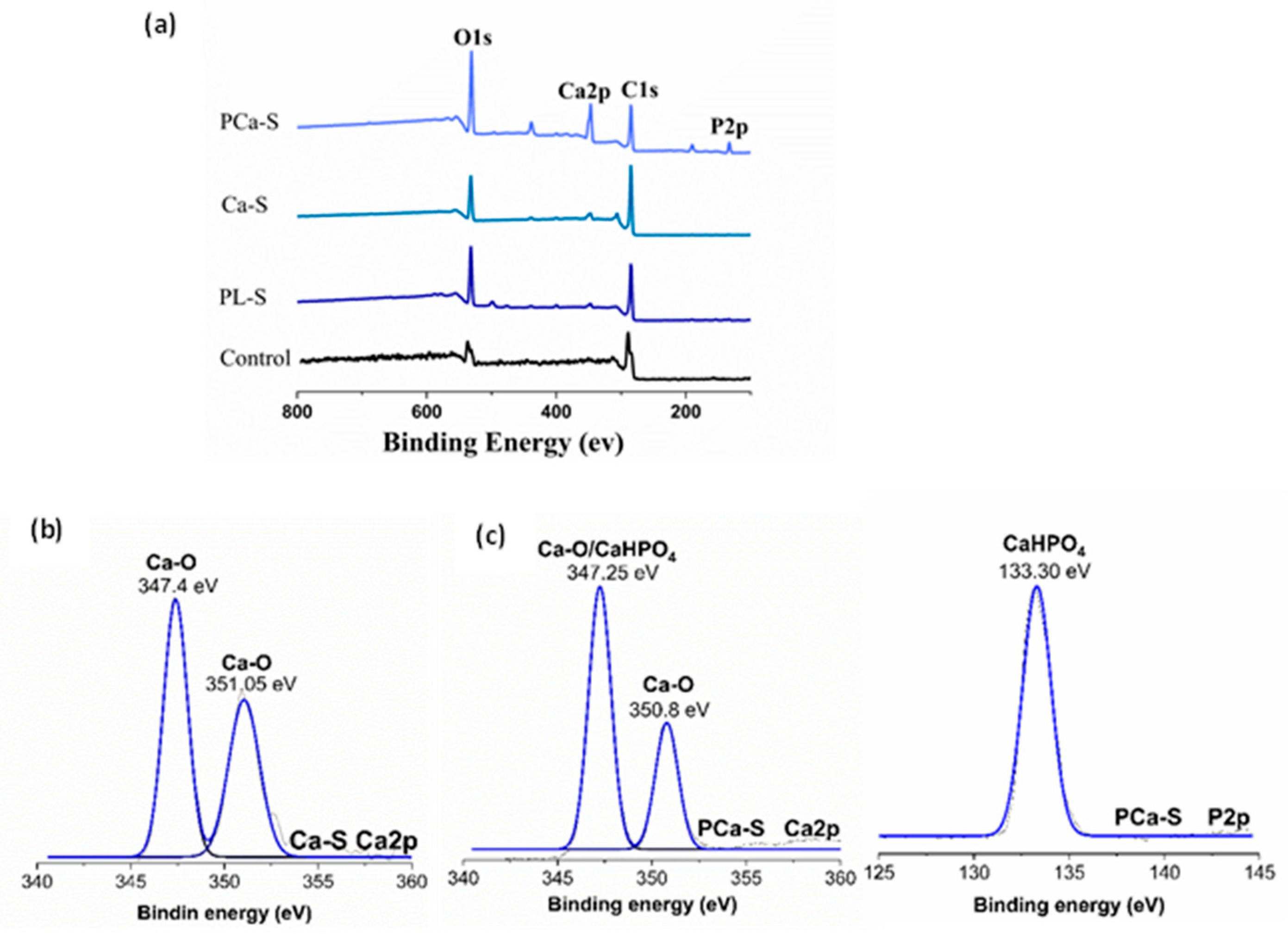 Preprints 184229 g004