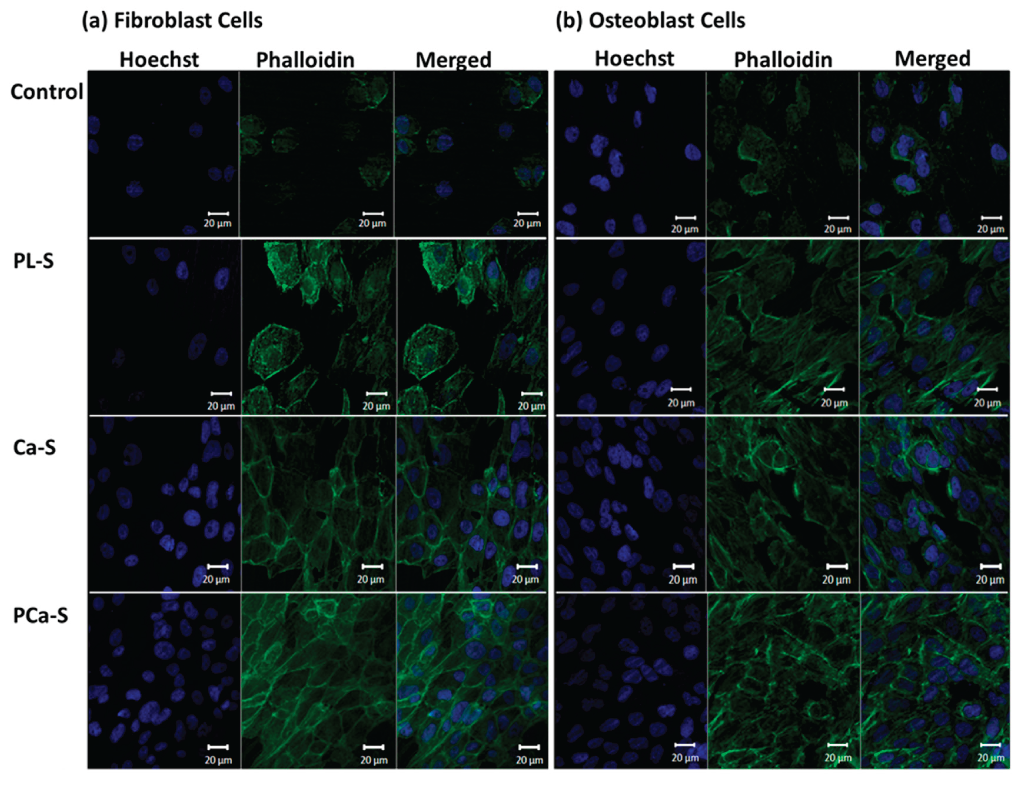 Preprints 184229 g007