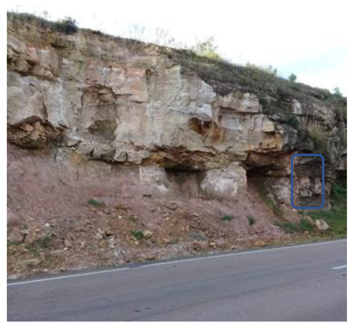 Preprints 164400 g002