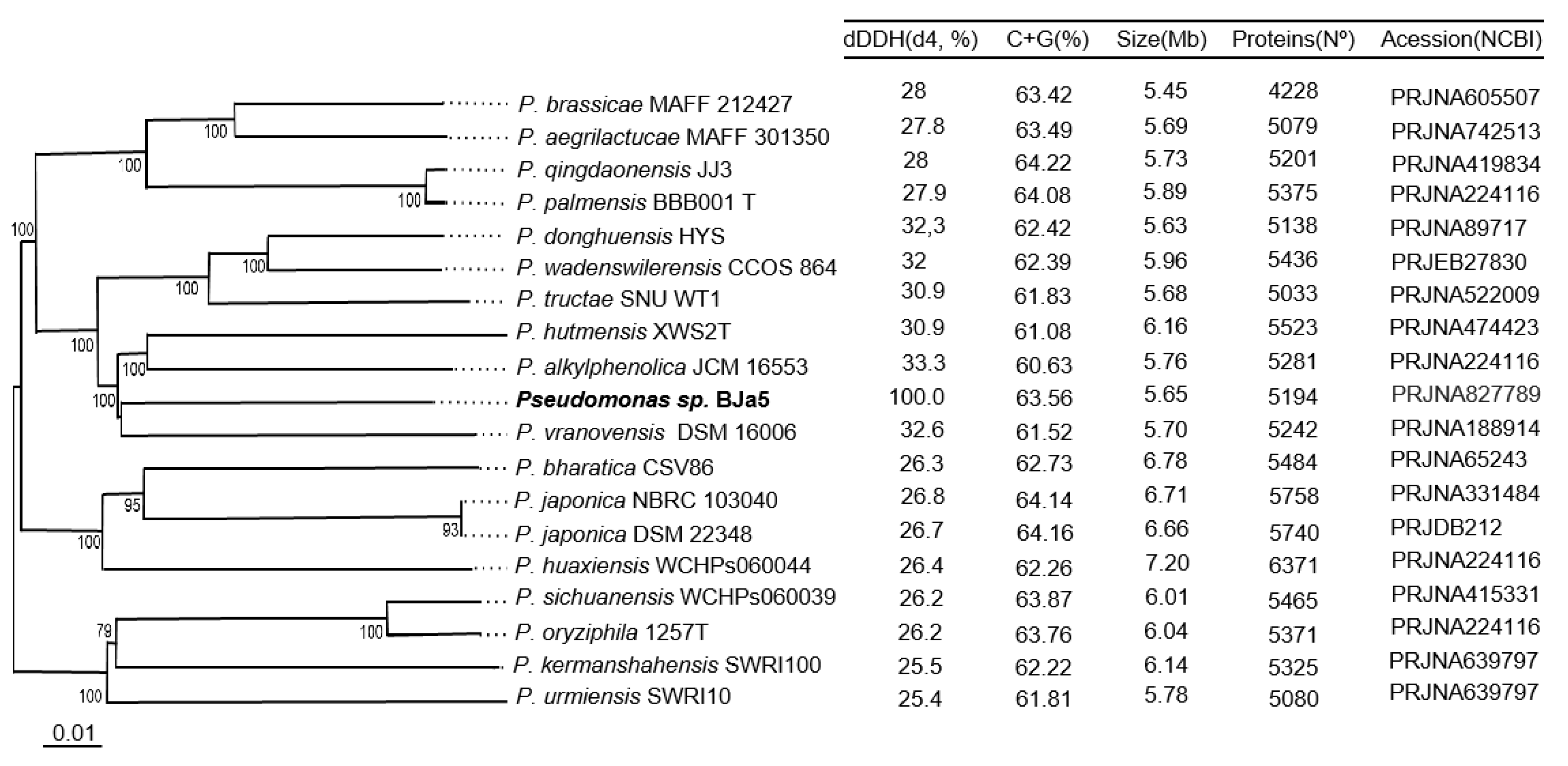 Preprints 77823 g003