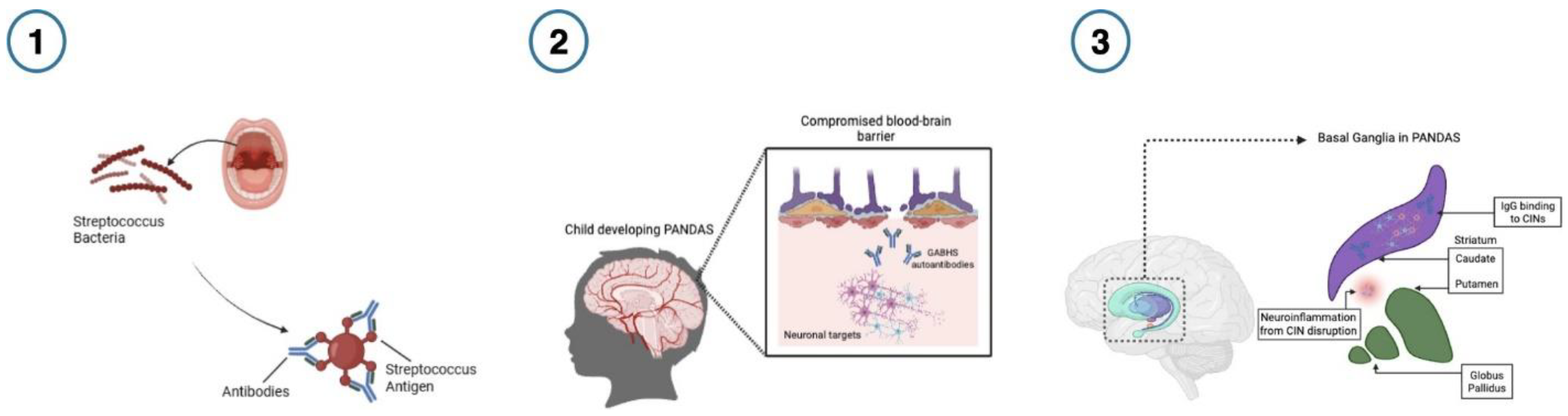 Preprints 181680 g001