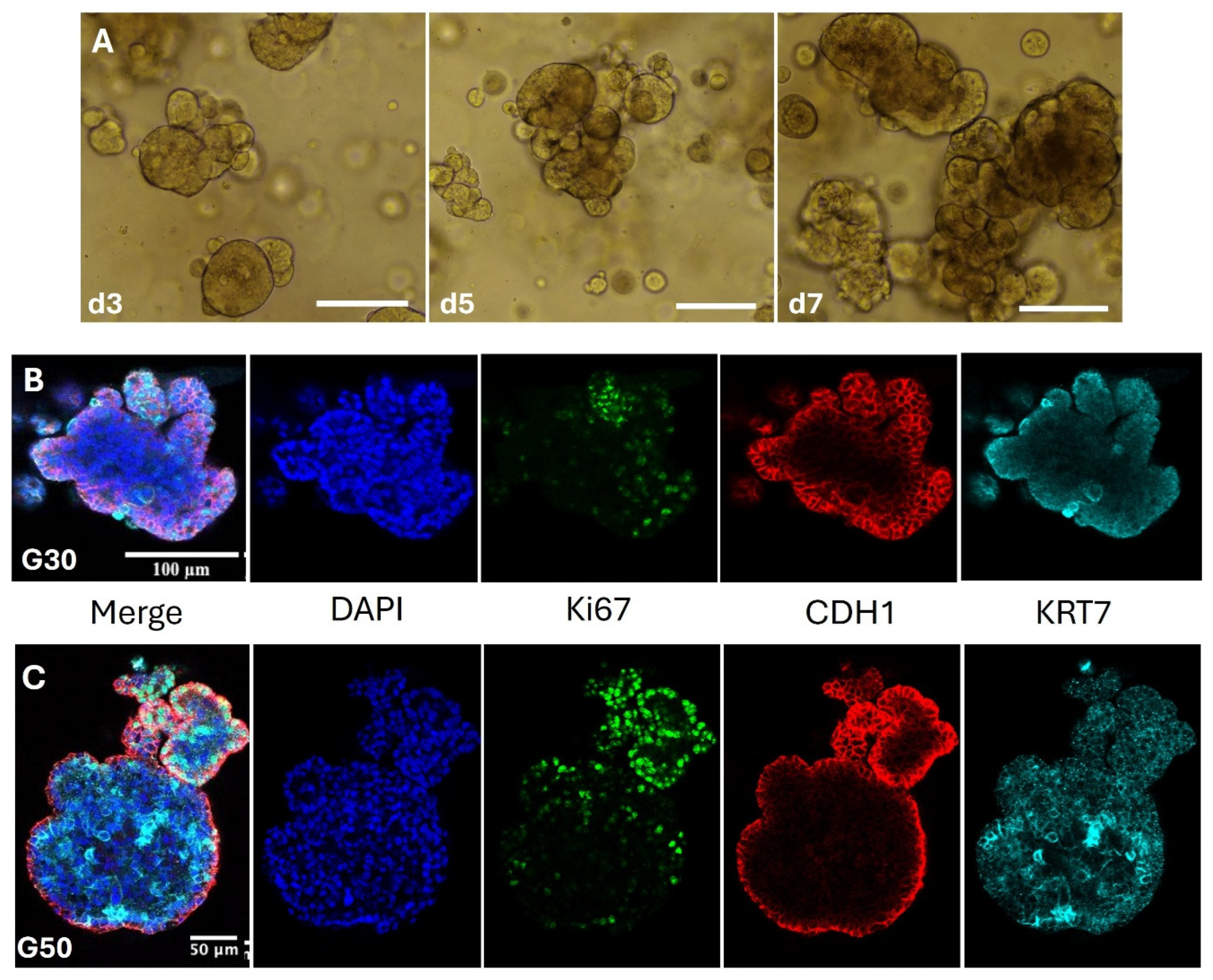 Preprints 173252 g002