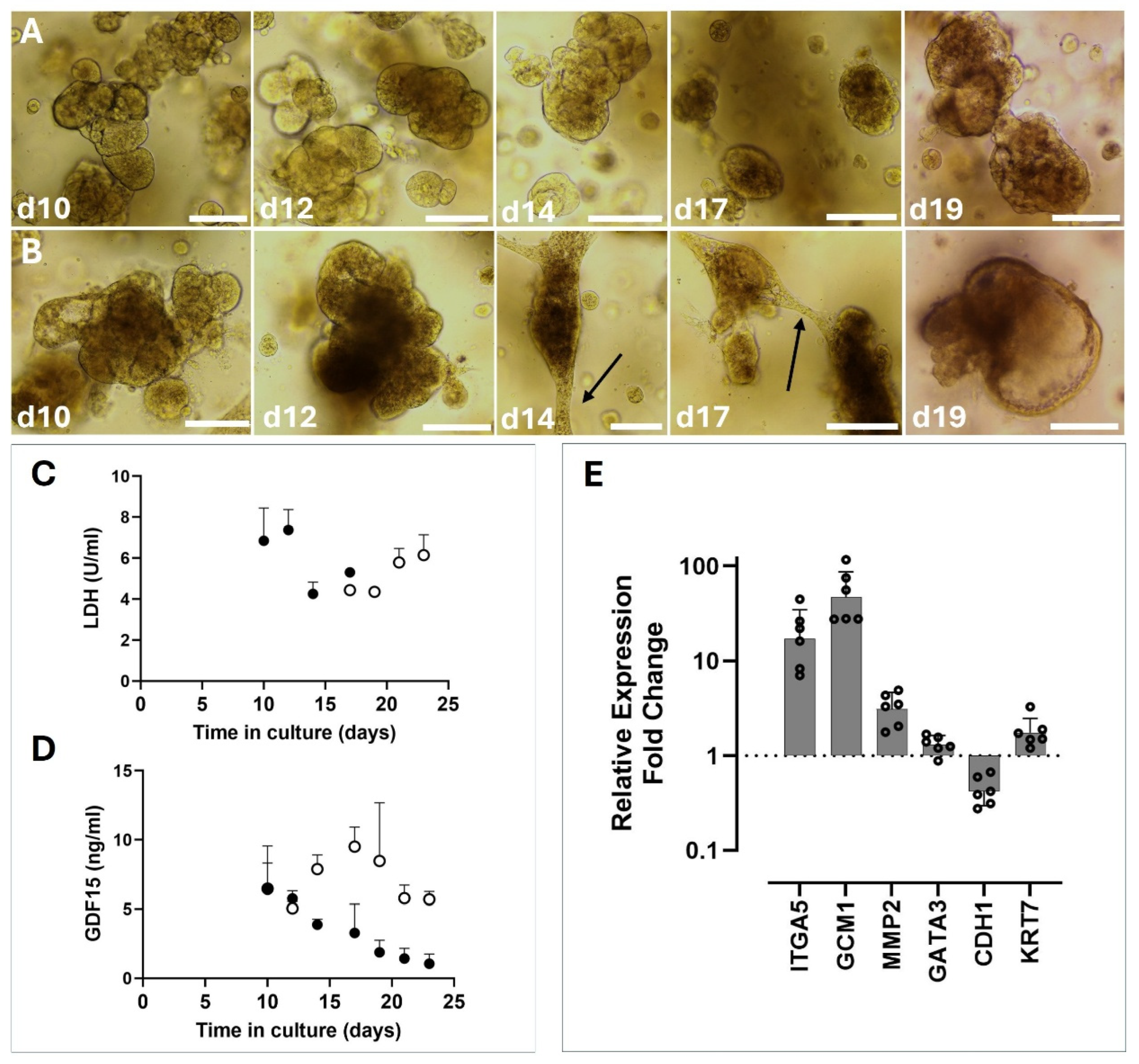 Preprints 173252 g003