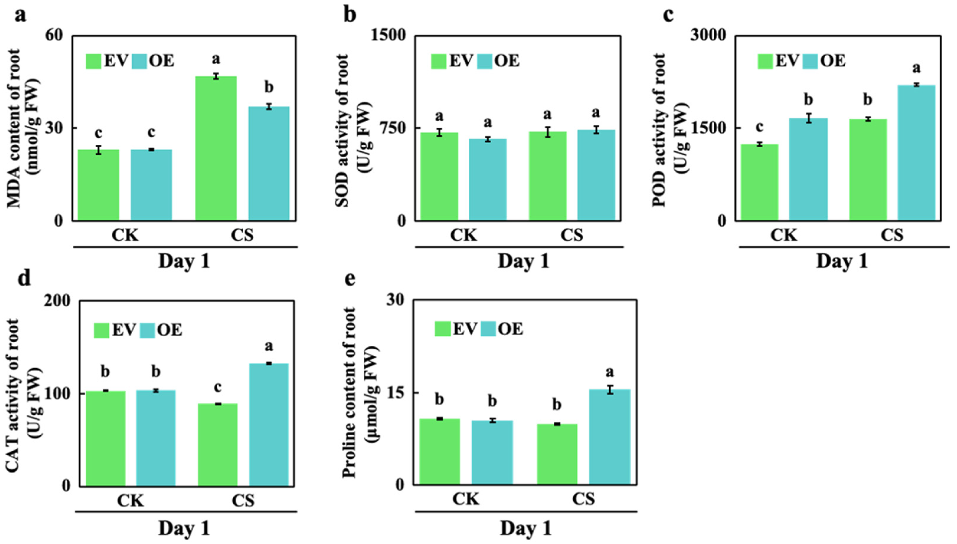 Preprints 215353 g002