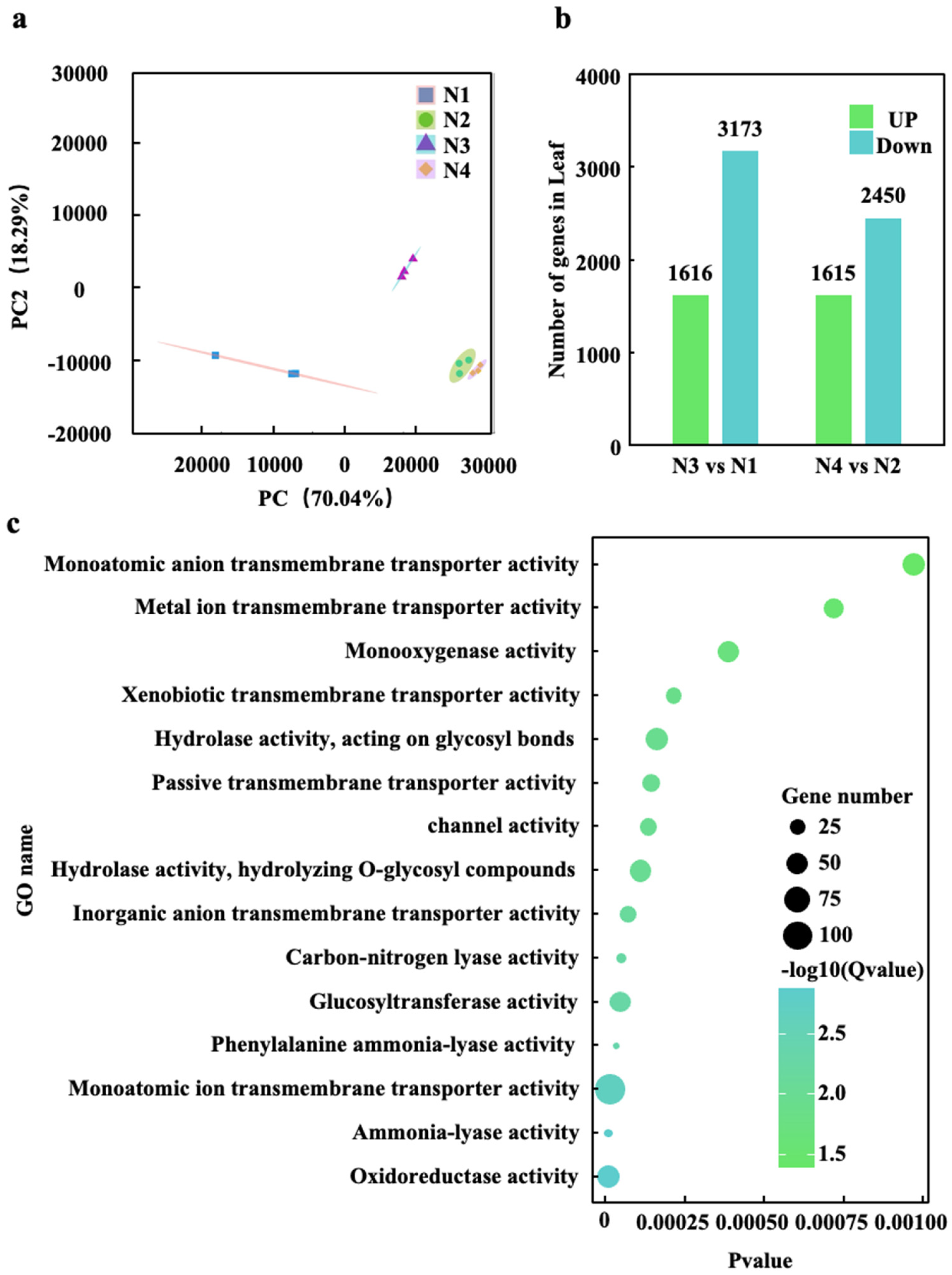 Preprints 215353 g003
