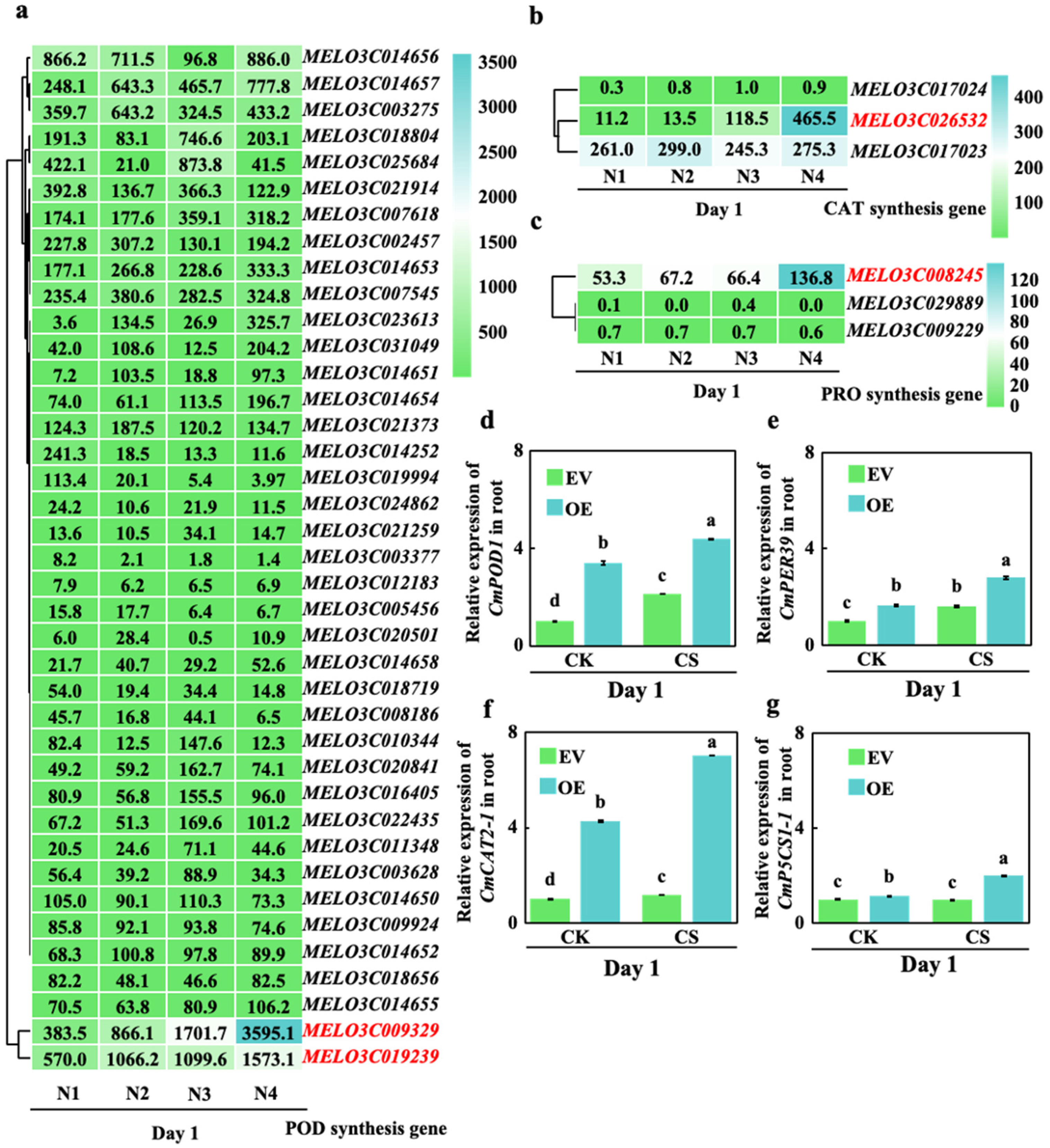 Preprints 215353 g004