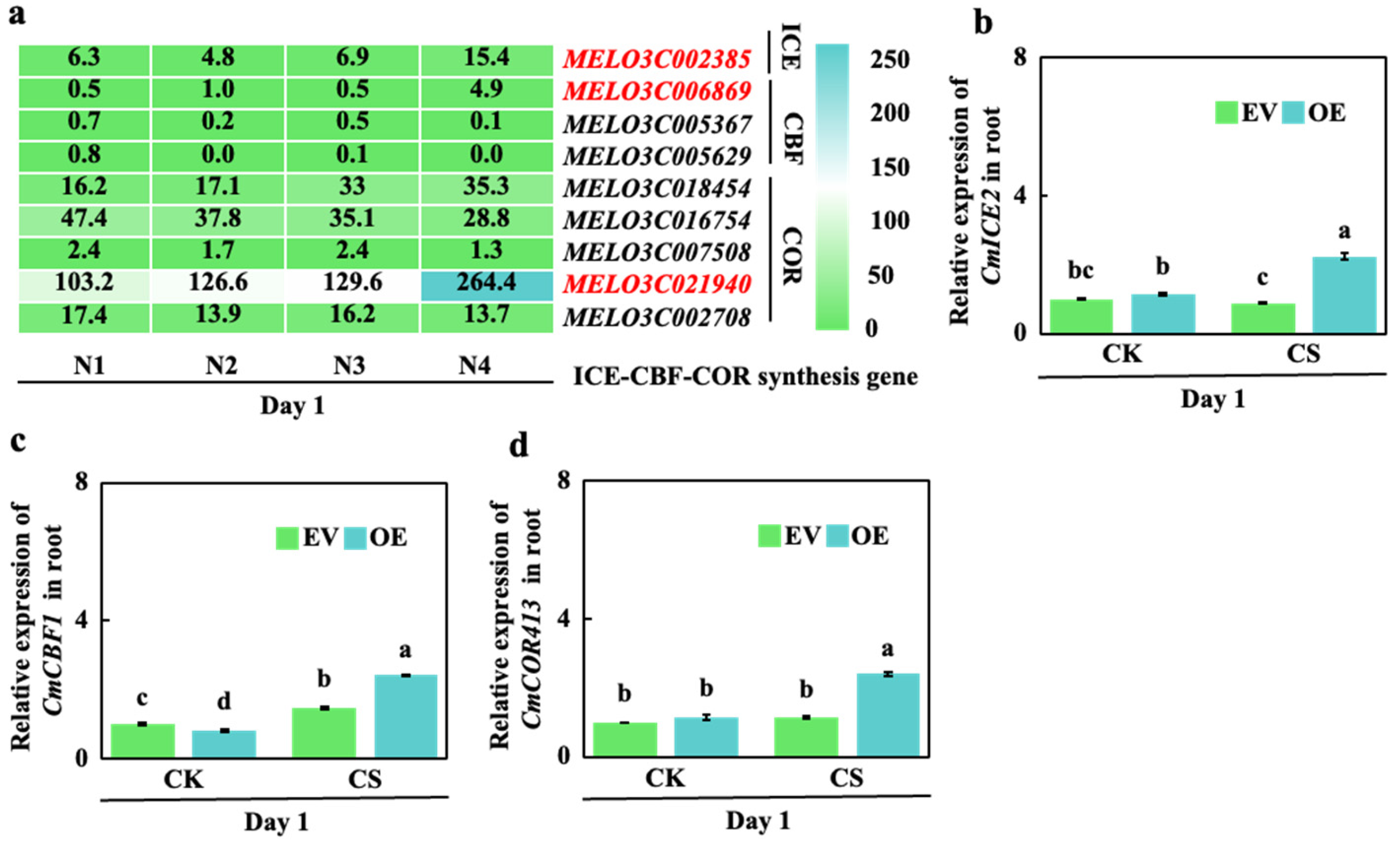 Preprints 215353 g005