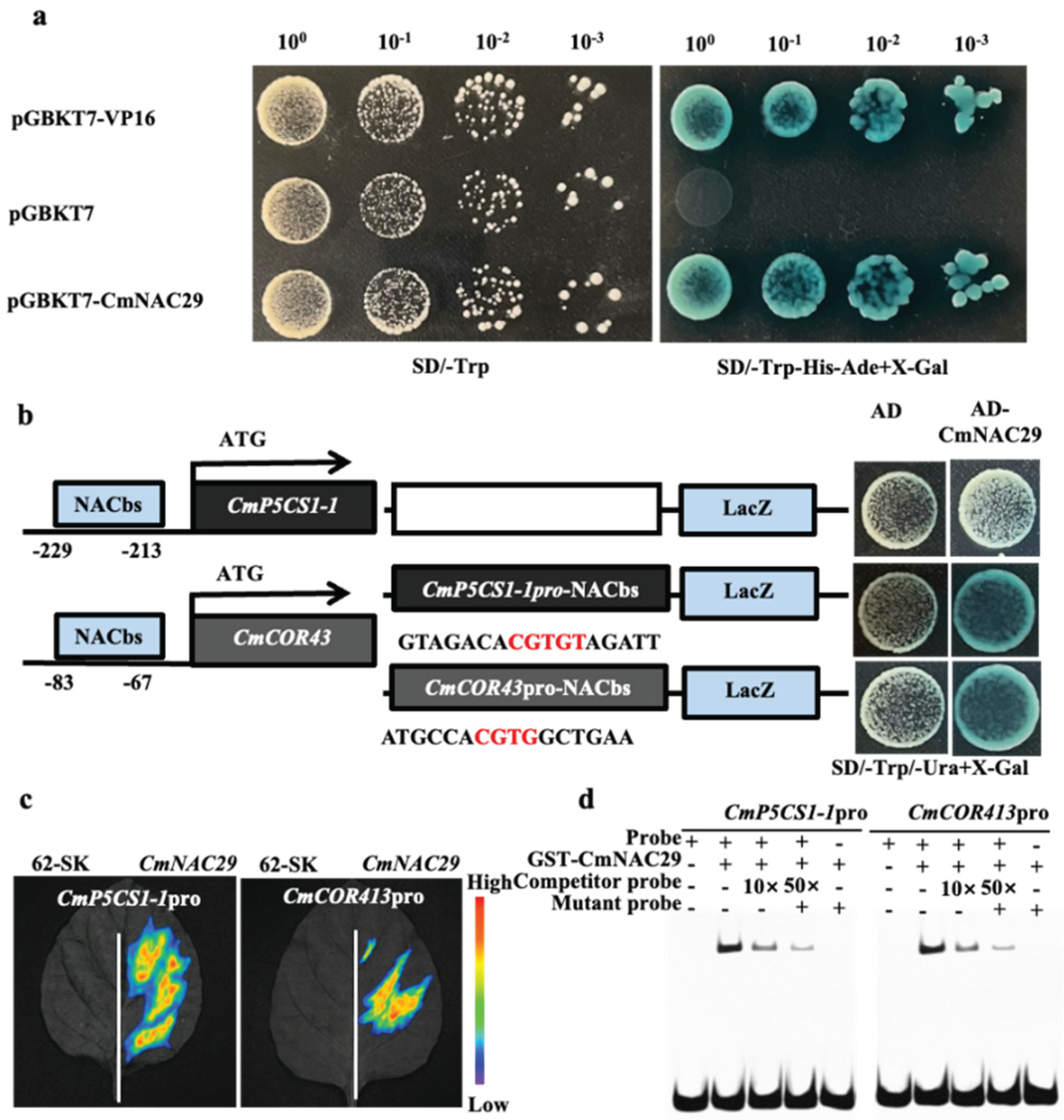 Preprints 215353 g006