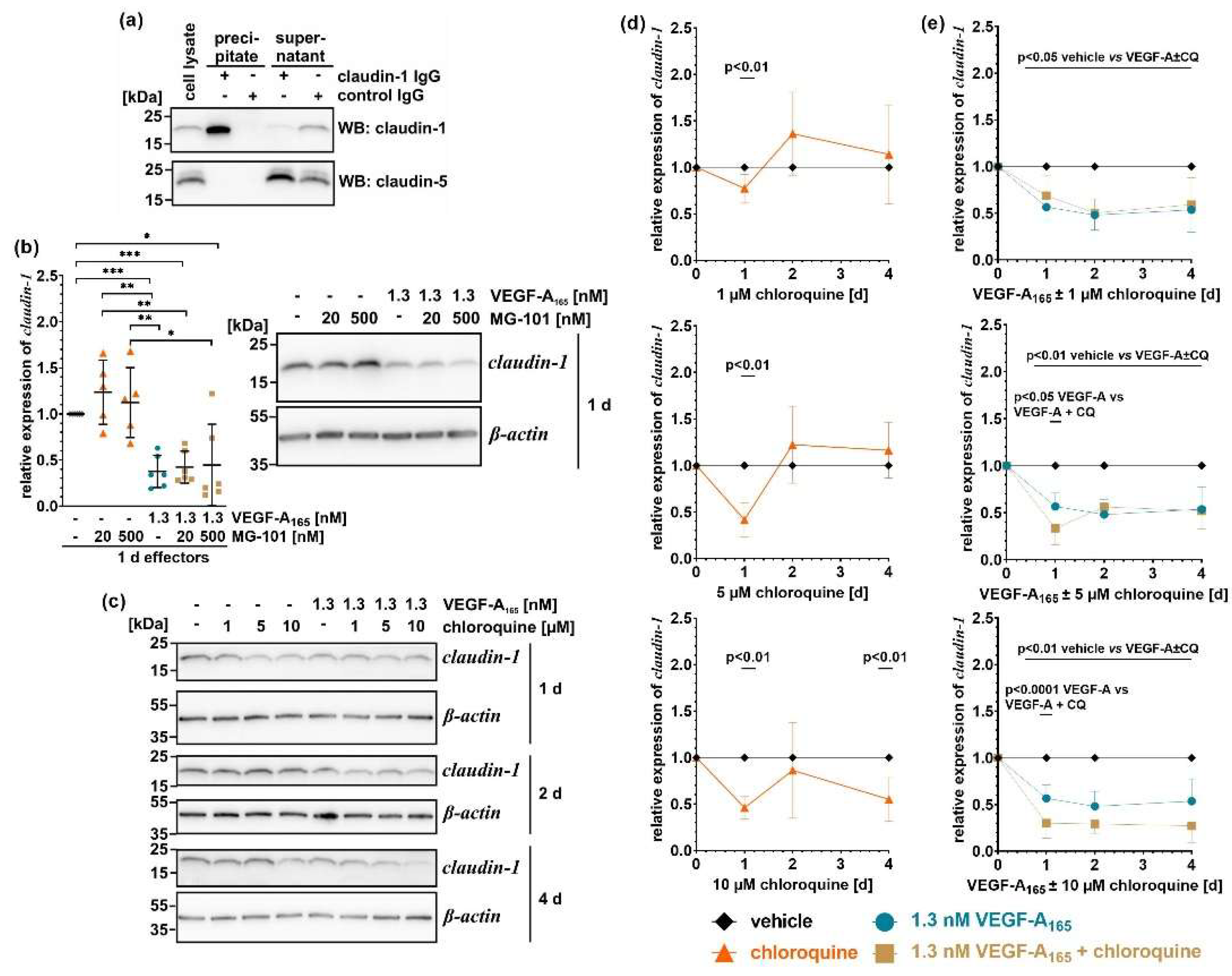 Preprints 199464 g002
