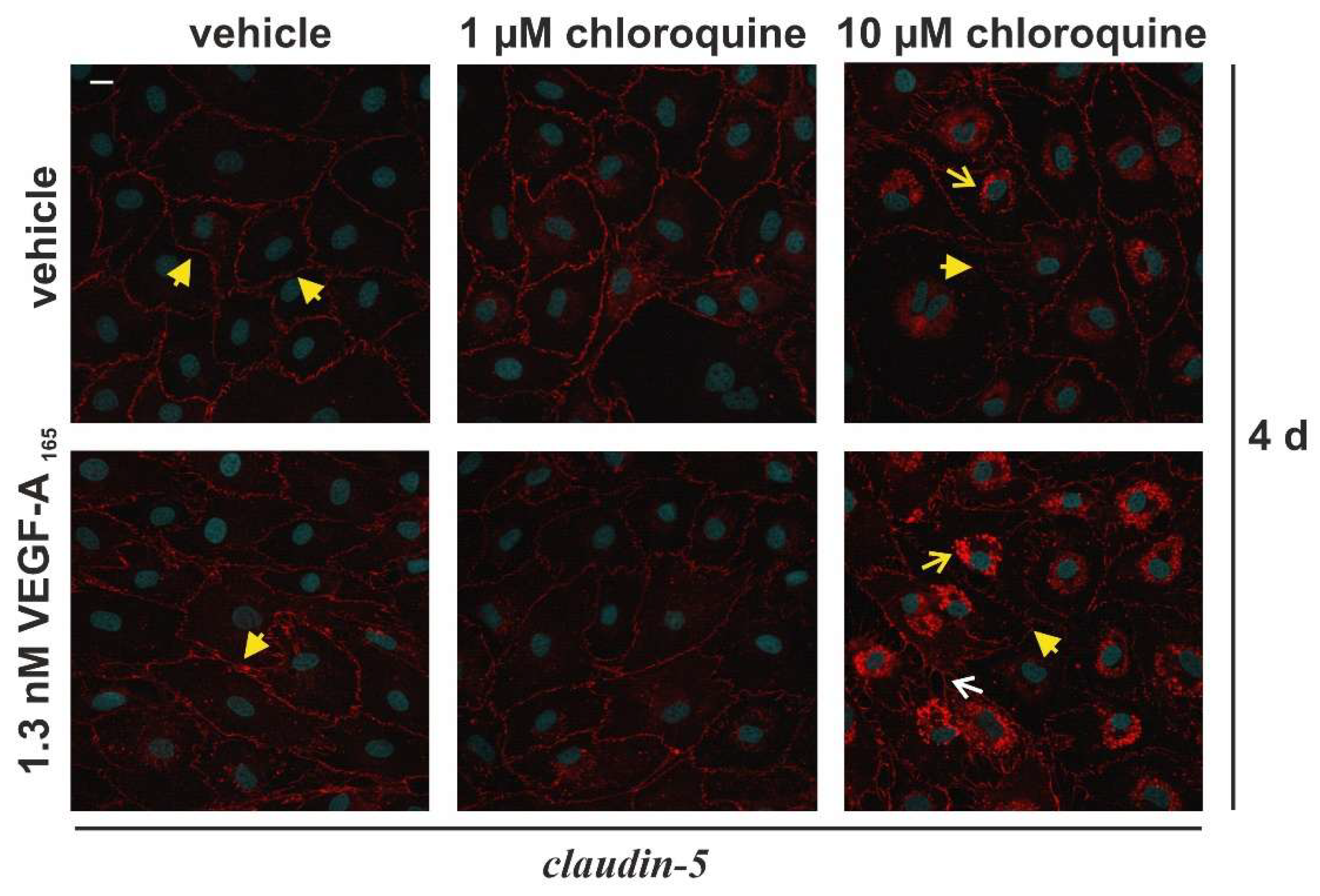 Preprints 199464 g005